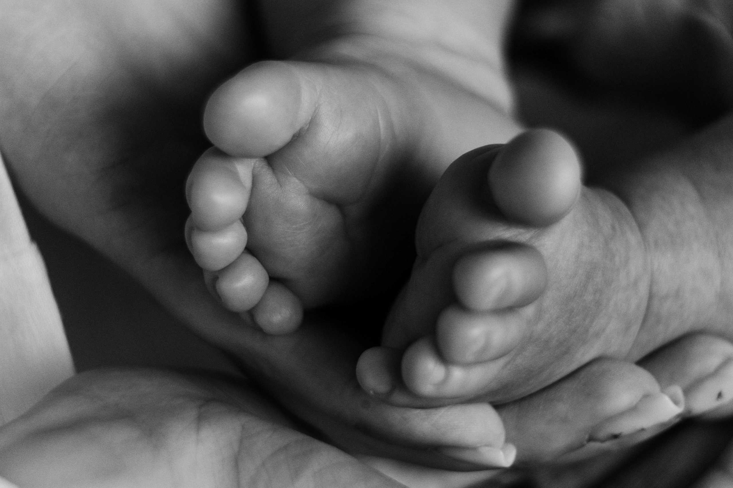 Иван, Ксения и Лев. Фотограф беременности и семьи, домашние съемки, Ньюборн