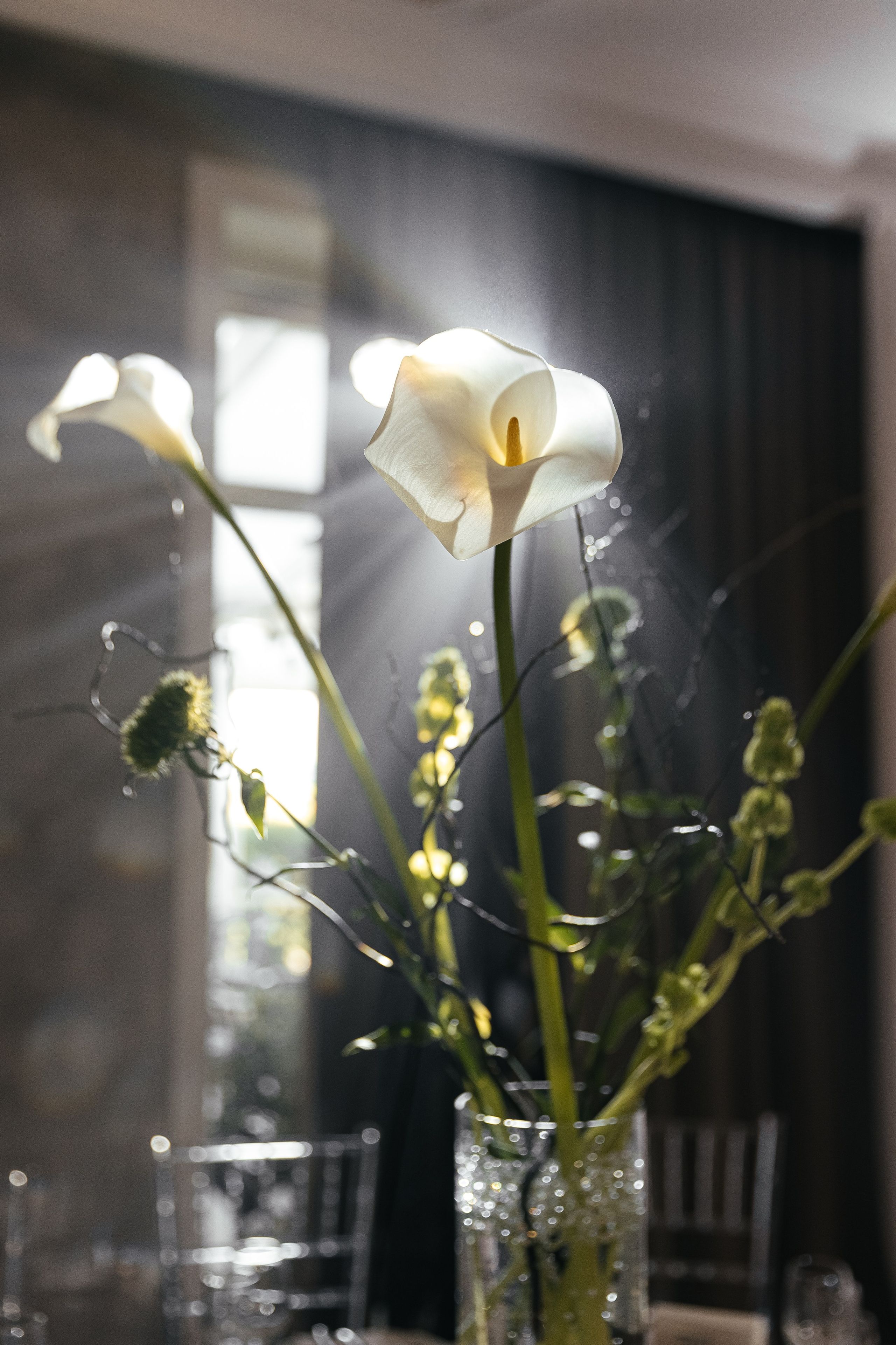 Николай и Марина. Свадебный и семейный фотограф в Таганроге и Ростове Руднева Анастасия