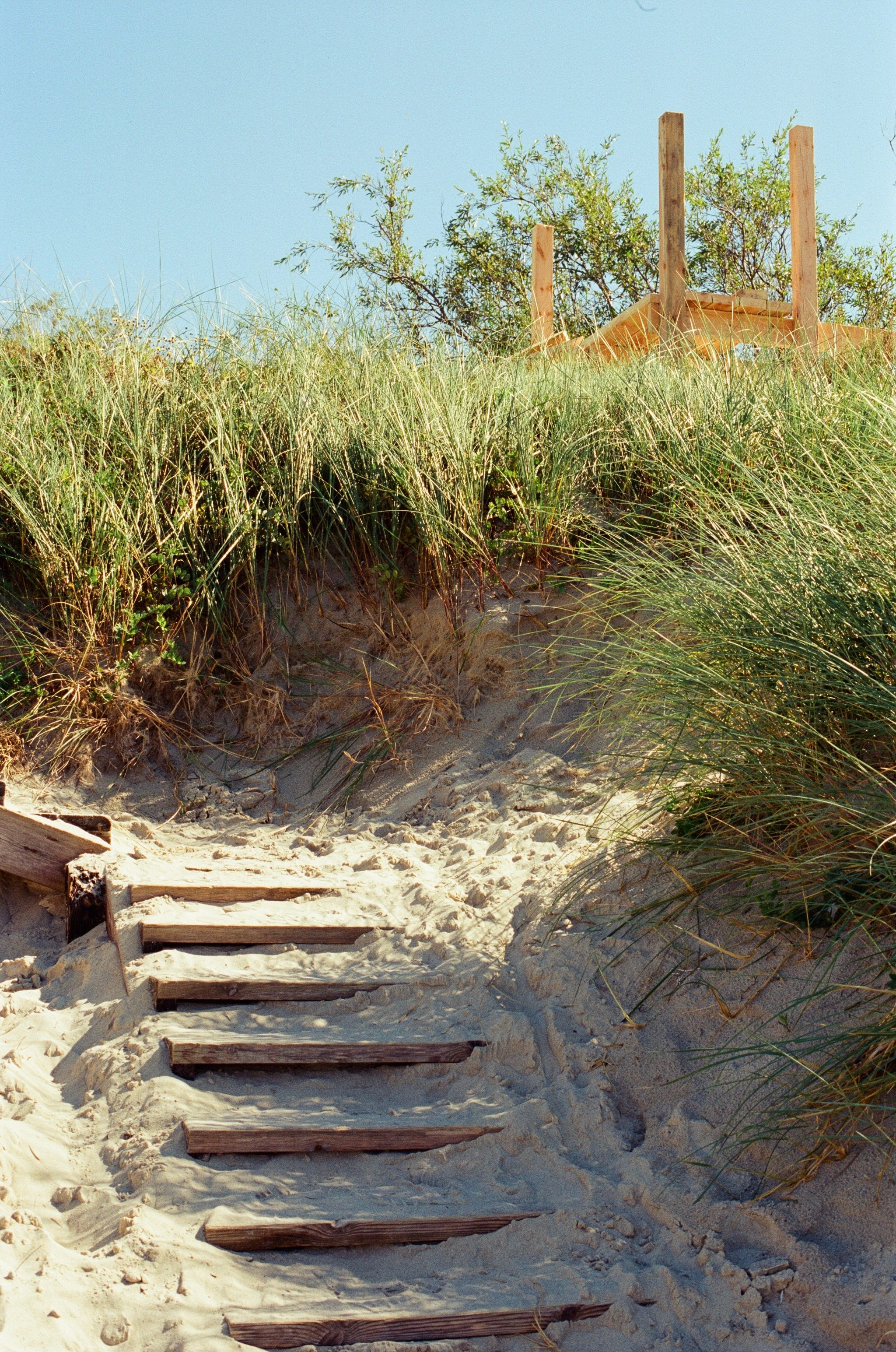 Плёнка🎞️. Фотограф в Москве Ксюшенька