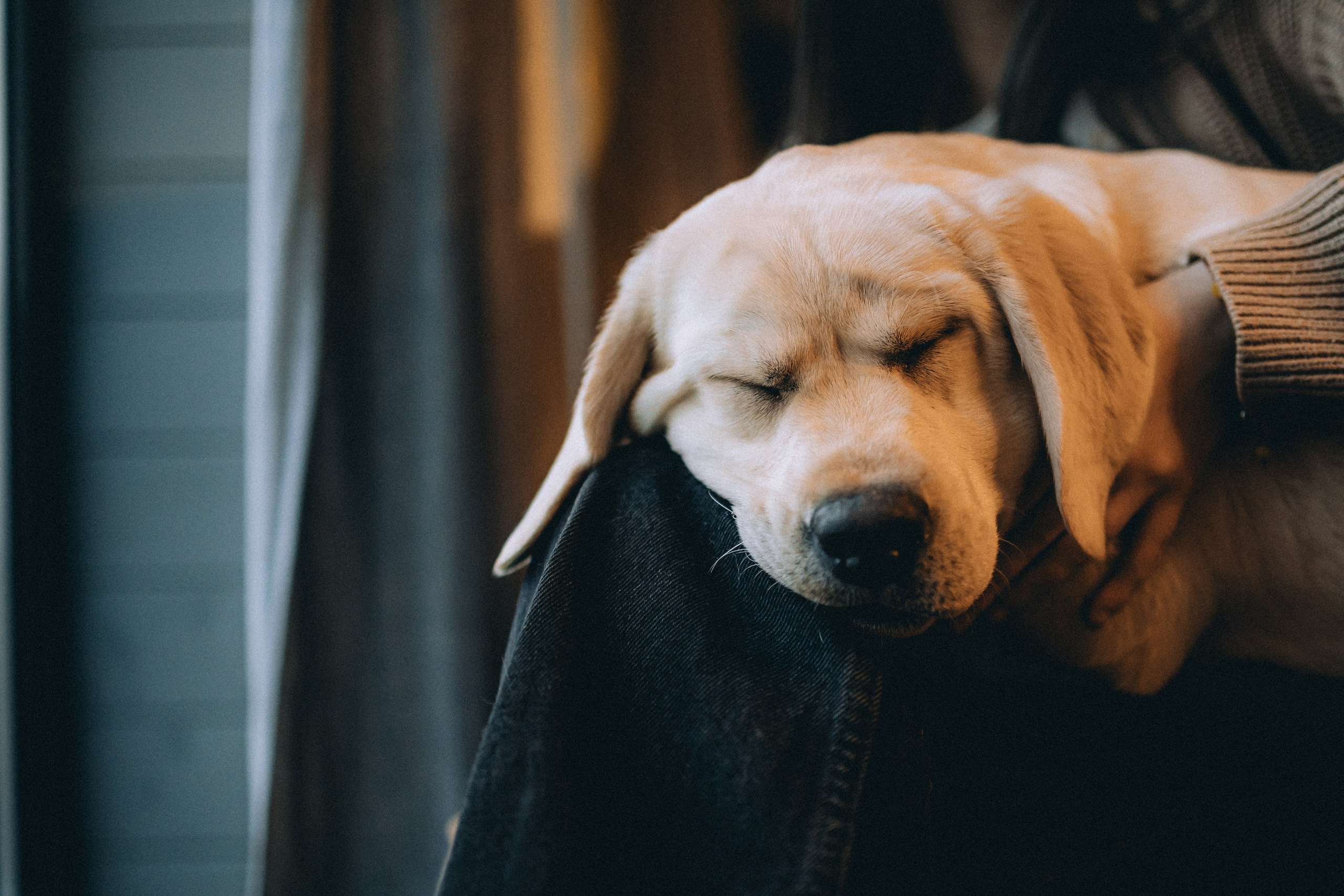 Ума, Берта и их семья