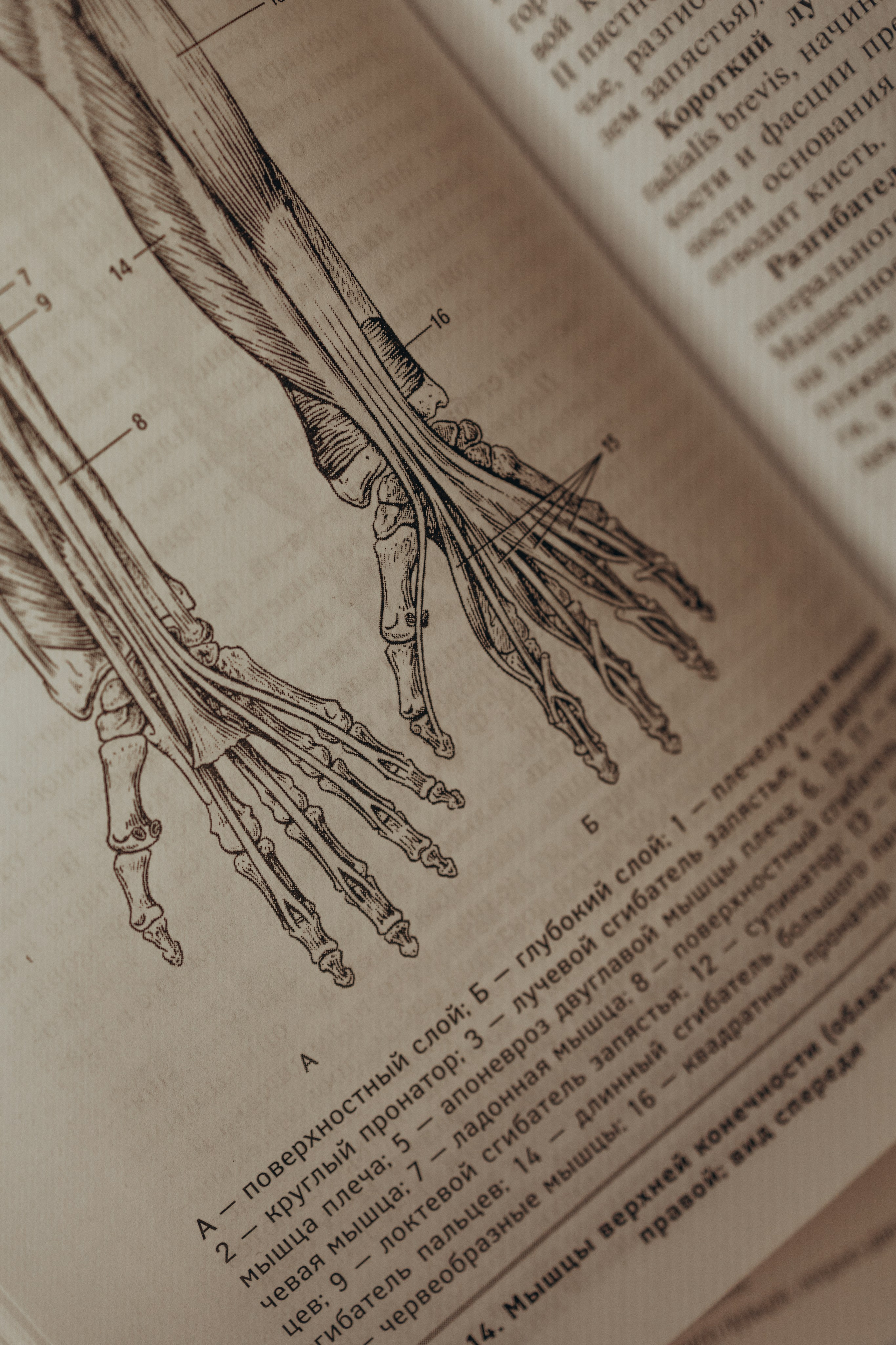 Ксения — массажист. Фотограф Москва Алёна Суворова