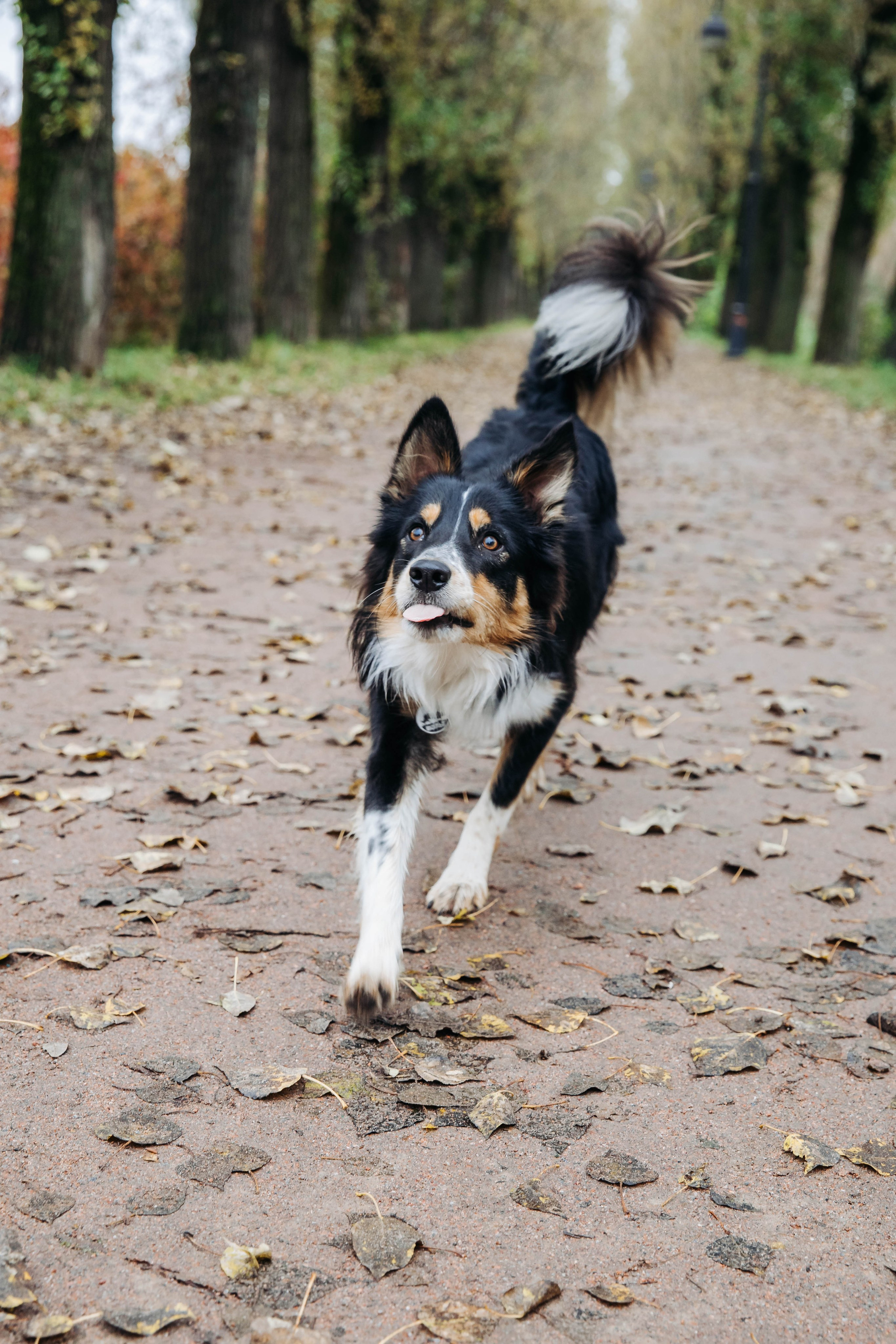Вольт. Свадебный и семейный фотограф в Санкт-Петербурге Лолита Евстифеева
