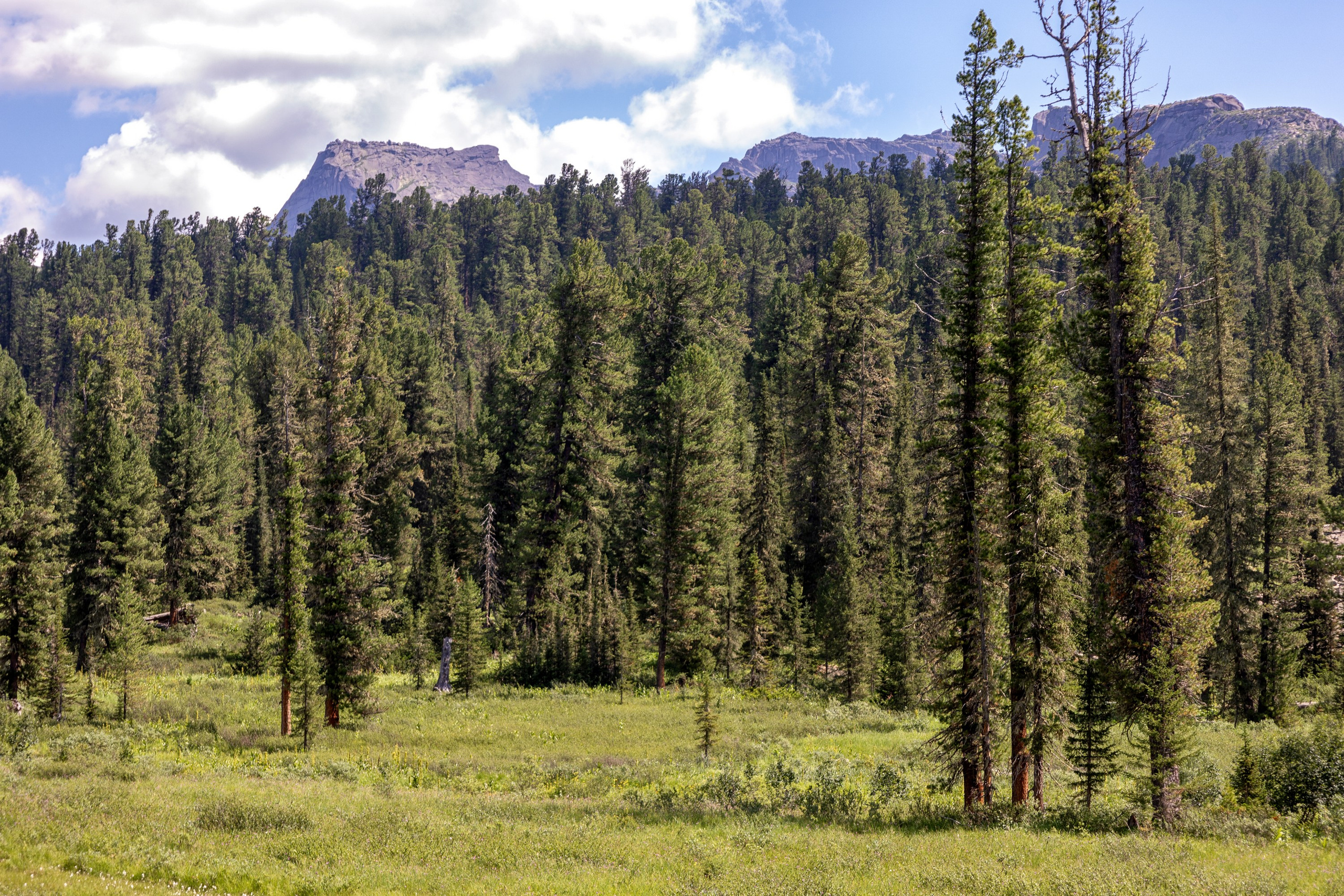 Ергаки. Семейный и детский фотограф в Красноярске, Дивногорцева Светлана