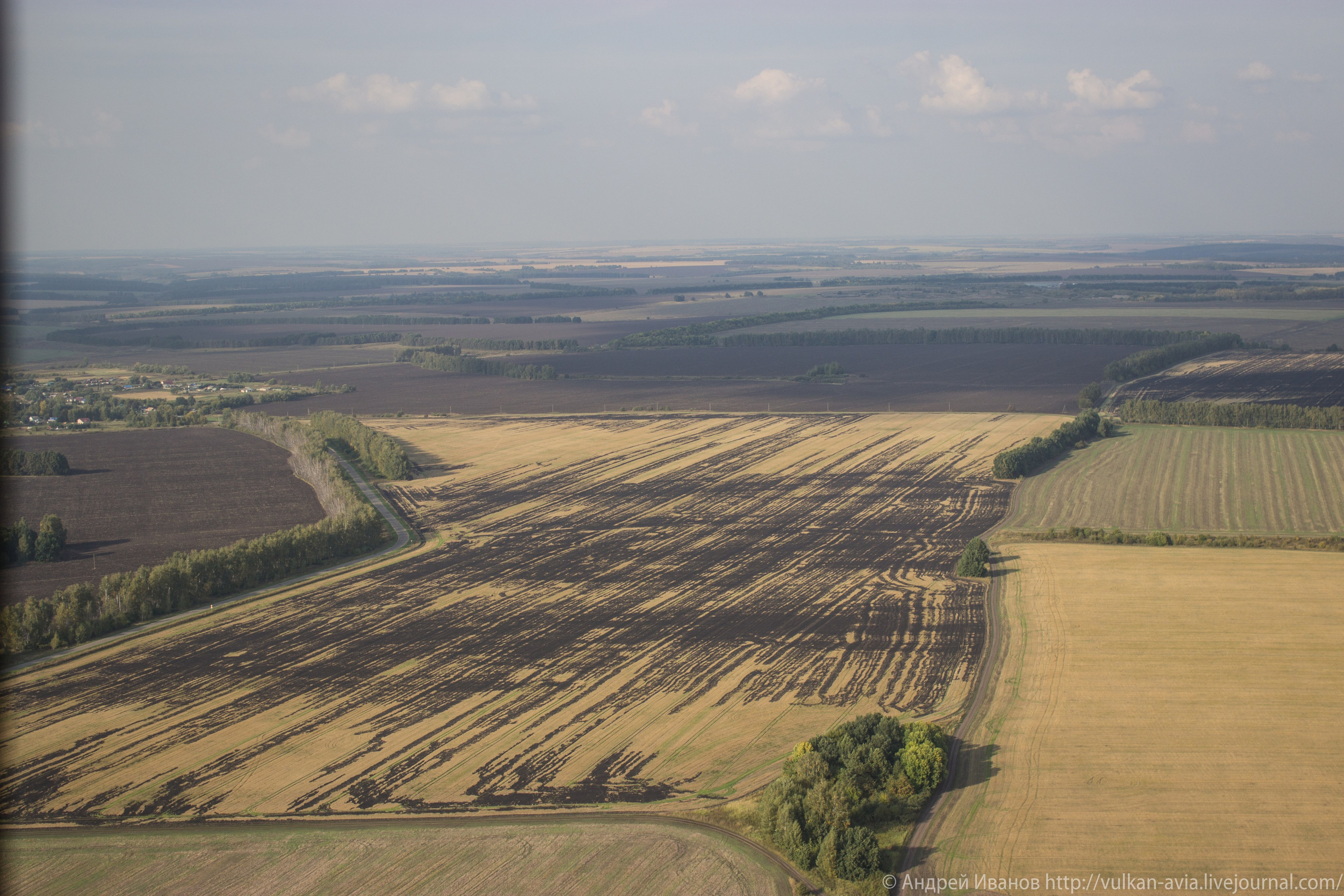 Волгодонск аэр. Потапов слёт «Небо для всех» (2021 г.). Фотоальбом показывающий увлекательный мир авиации и мир медведей Андрея Иванова