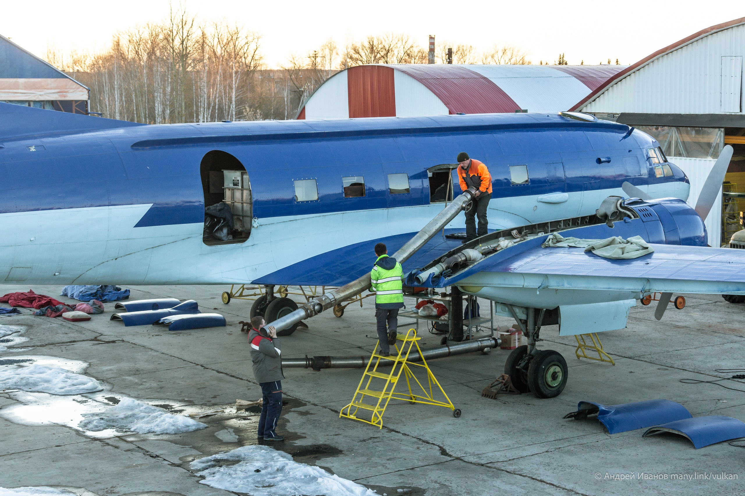 Ил-14Т «Голубая Мечта» (2026 г.). Фотоальбом показывающий увлекательный мир авиации и мир медведей Андрея Иванова