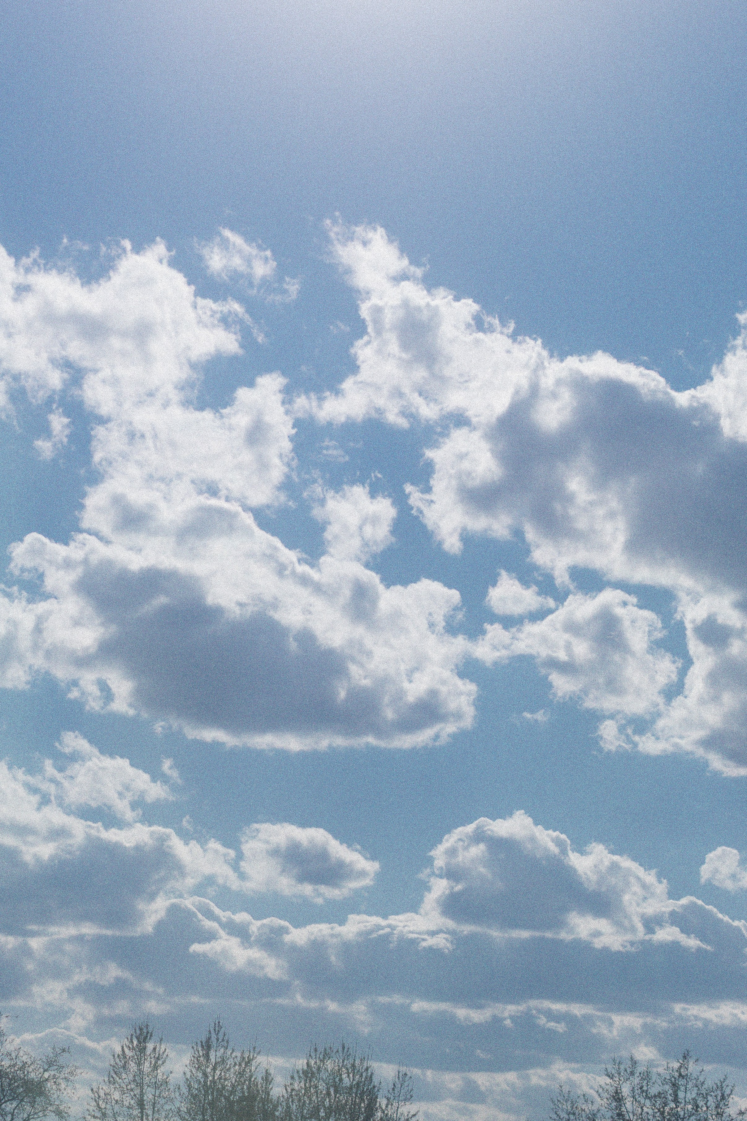 Влад и Алина. Весна началась. Свадебный и портретный фотограф в Москве Кристина Золотова