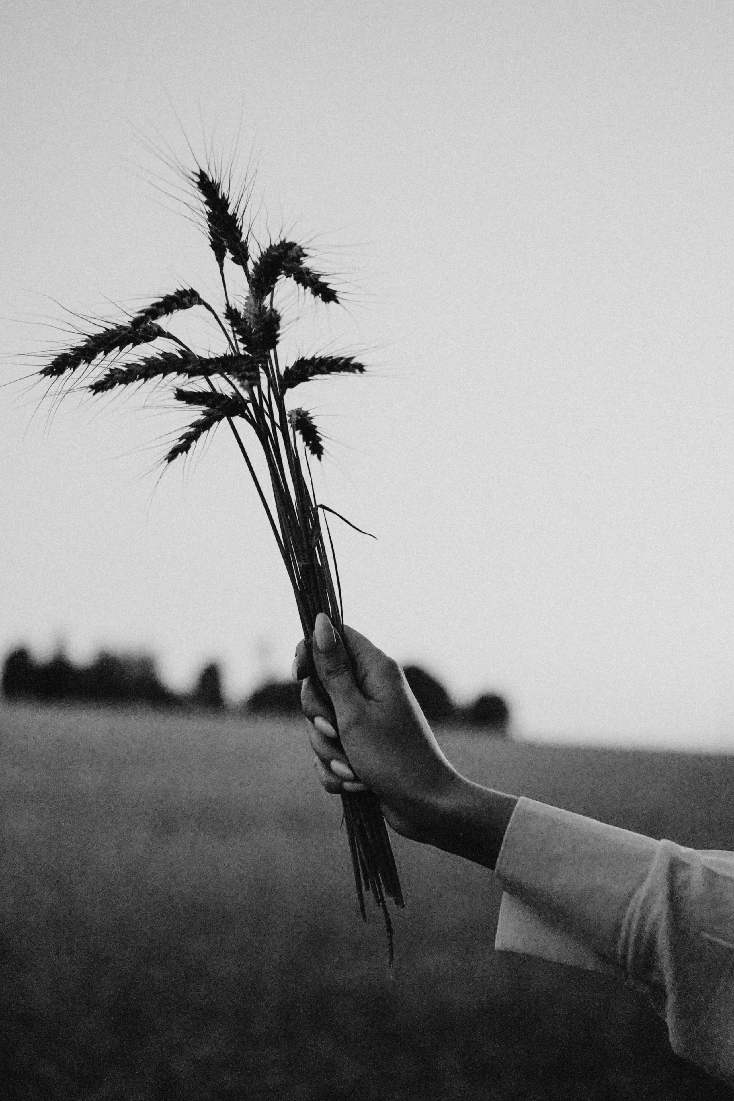 Летний вечер. Профессиональный фотограф, Санкт-Петербург — Виктория Богомолова
