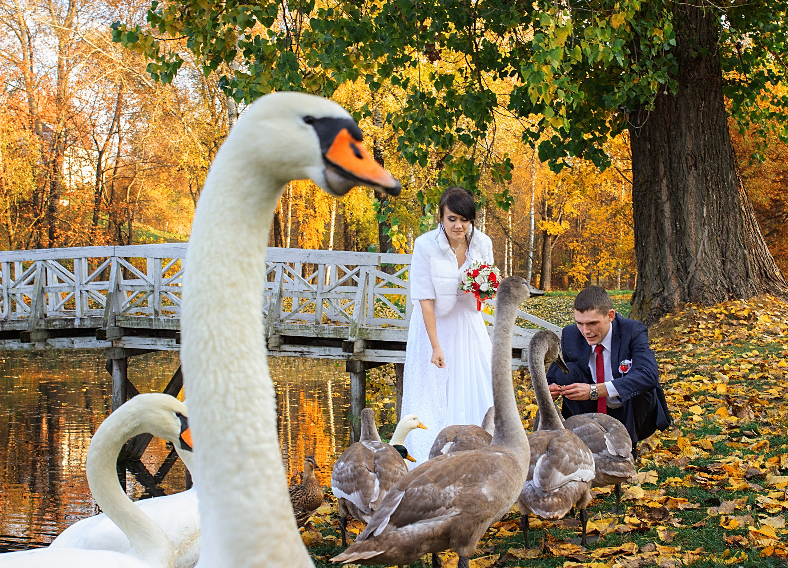 Свадебные фотография. Семейная и свадебный фотограф в Брянске Галина Медведкова