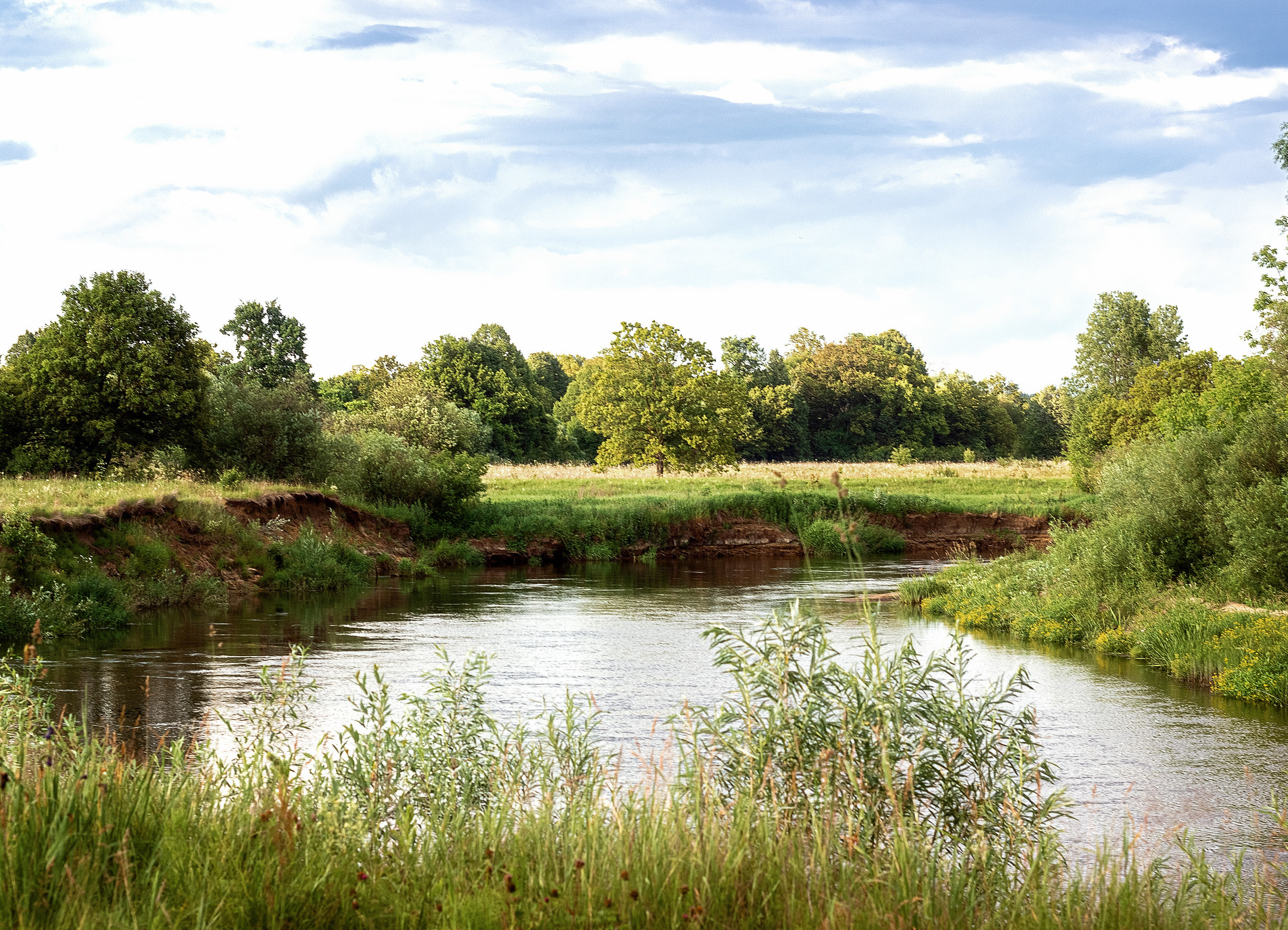 Природа пейзаж. Семейная и свадебный фотограф в Брянске Галина Медведкова