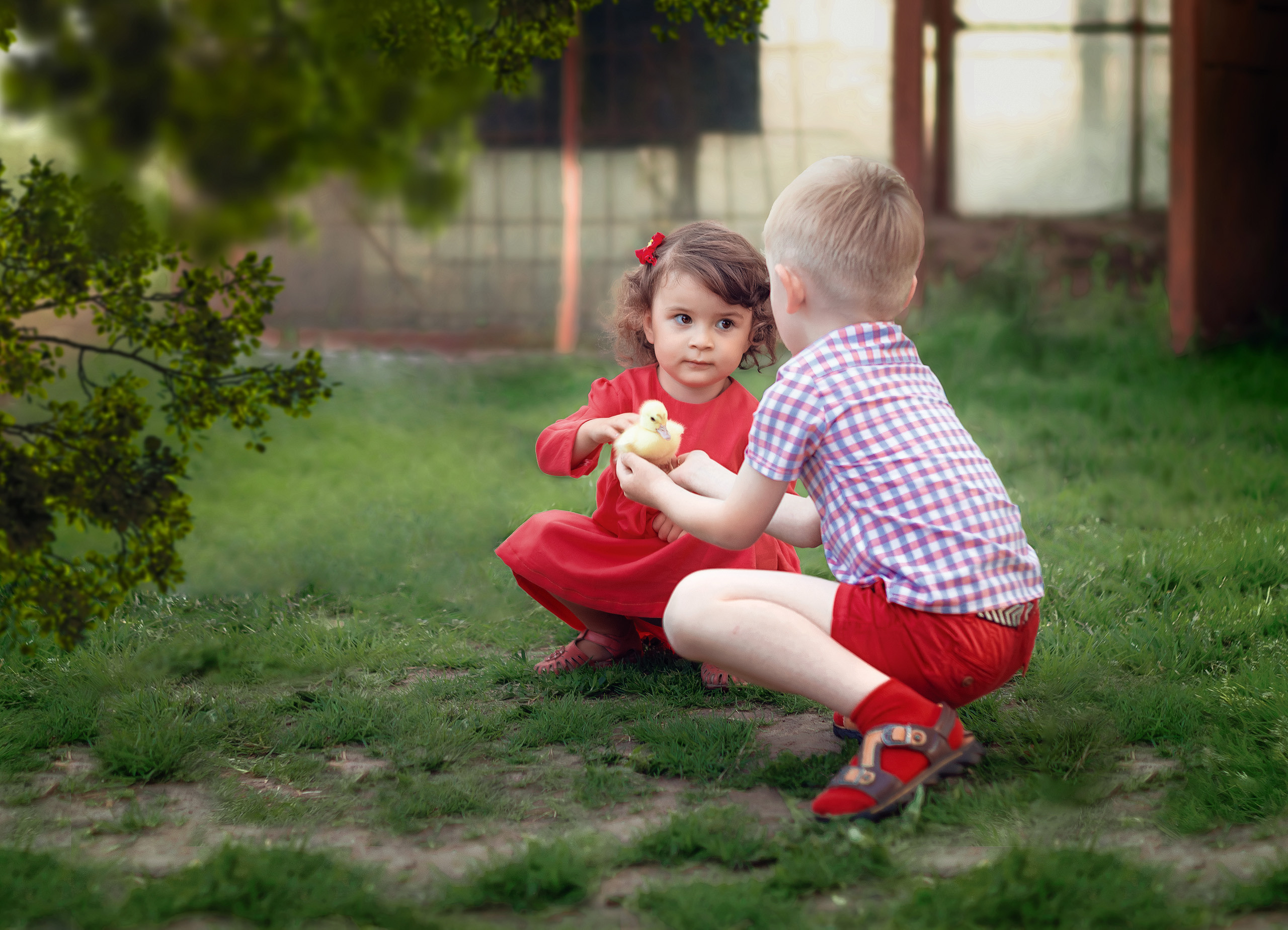 Детские фотосесси. Семейная и свадебный фотограф в Брянске Галина Медведкова