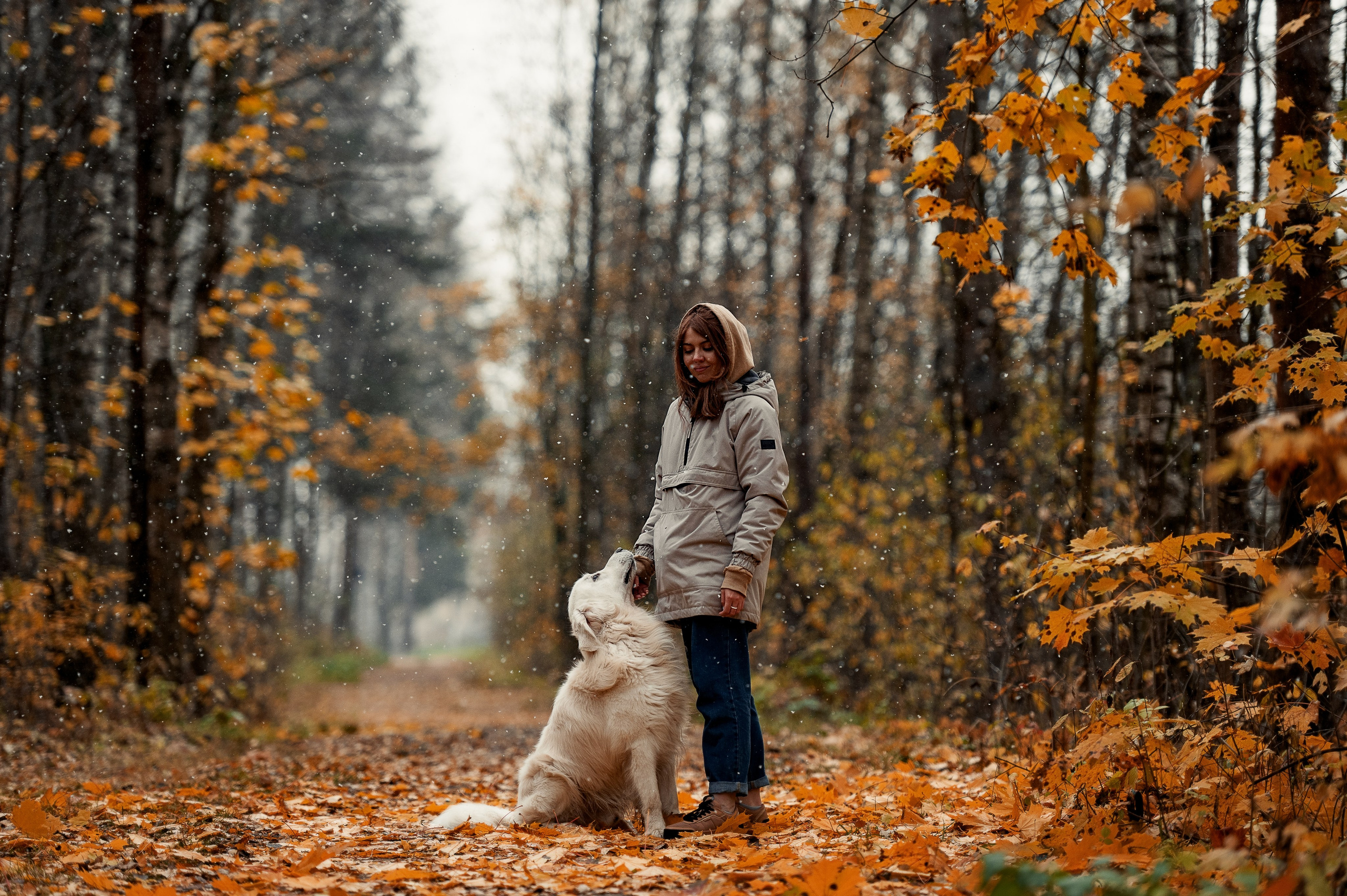 Айс и золотая осень. Фотограф-анималист