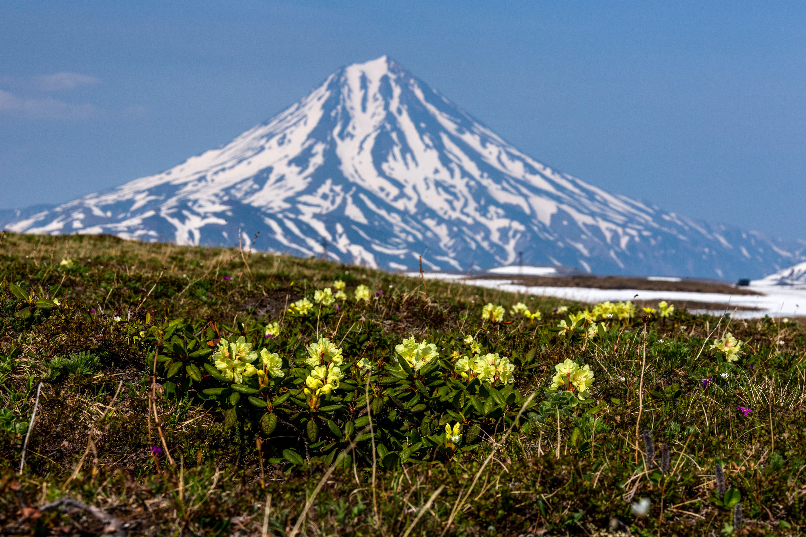 Время Камчатки: чтобы найти свой путь, нужно скорость умножить на время
