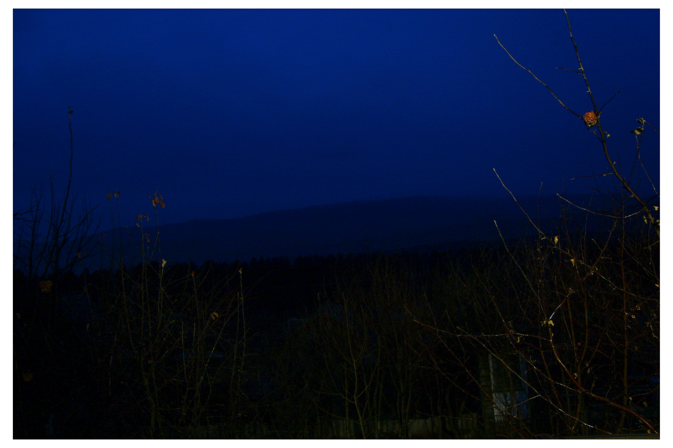 MIASS. Photographer Manakova Olga