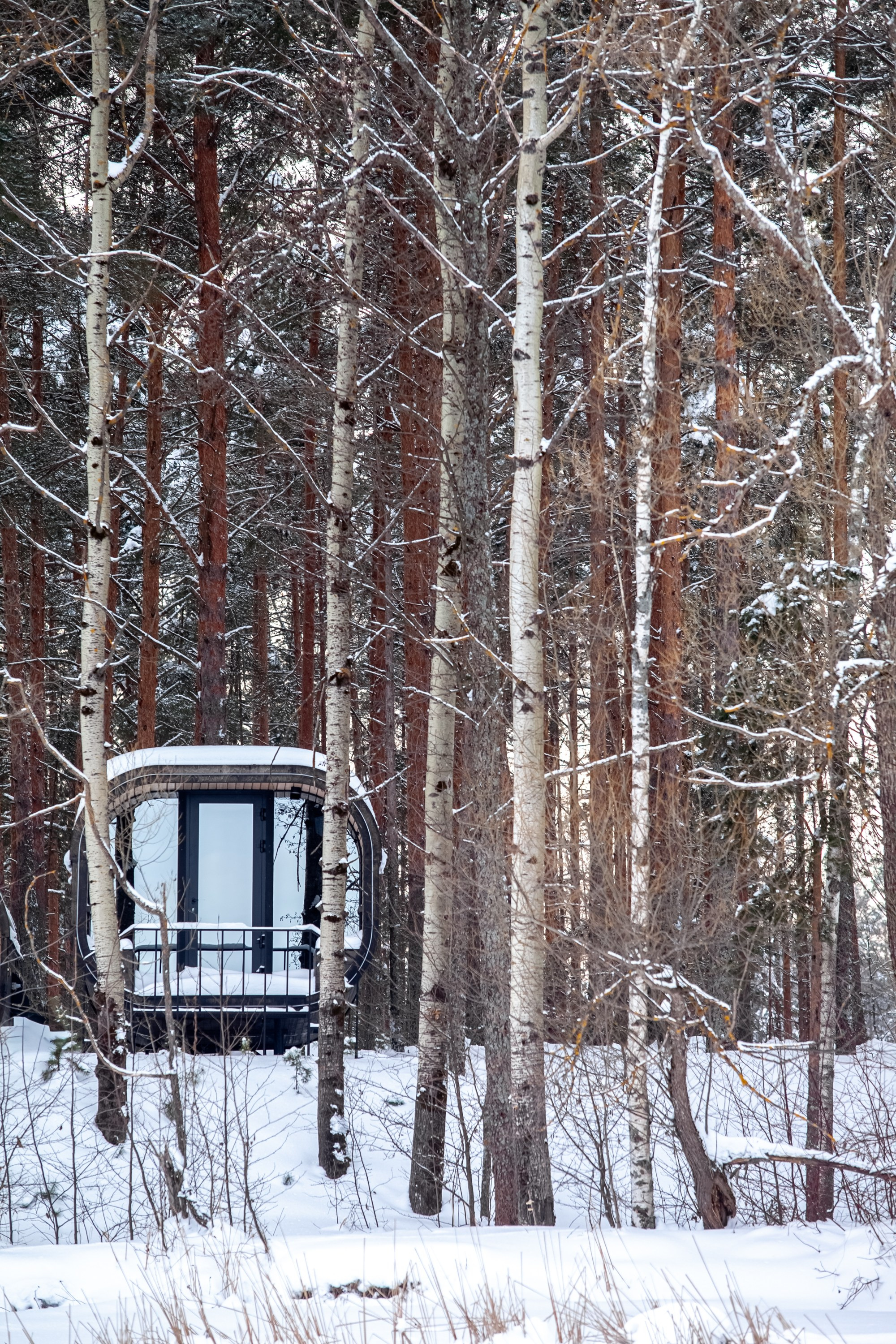 Выключить шум и услышать тишину, утихомирить свои мысли и приземлиться. В фокусе- человек и его состояние!. Туманов Виталий — фотограф Москва