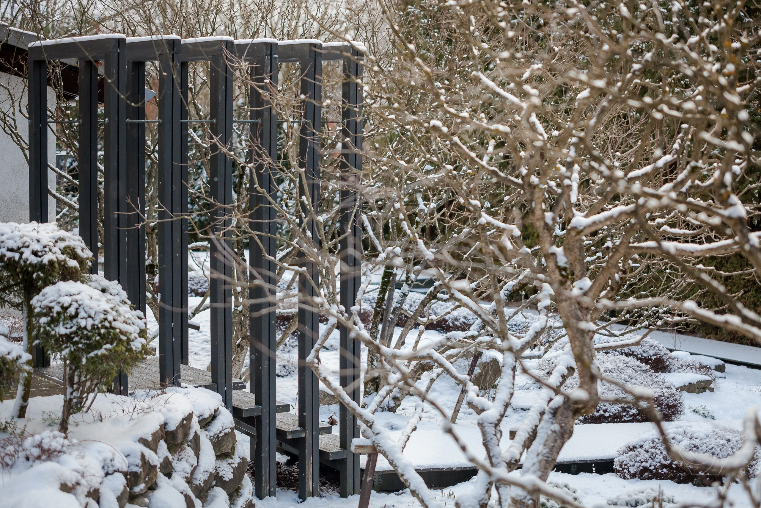 ОДНИМ СОЛНЕЧНЫМ ЗИМНИМ ДНЁМ!. Виталий Туманов — Ландшафтный фотограф
