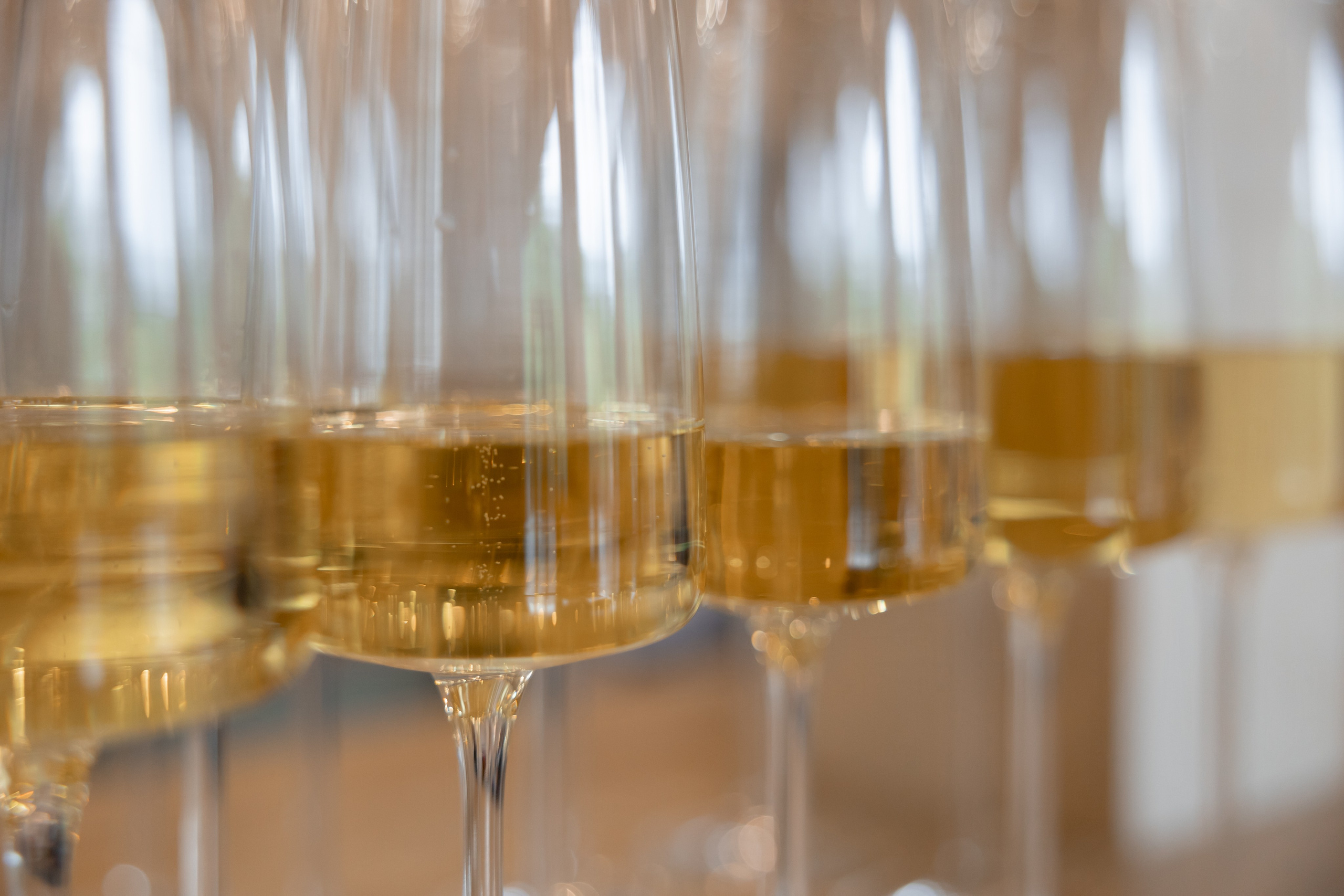 Алтай Бизнес-клуб «Новые Горизонты». Фотограф Москва Людмила Белова