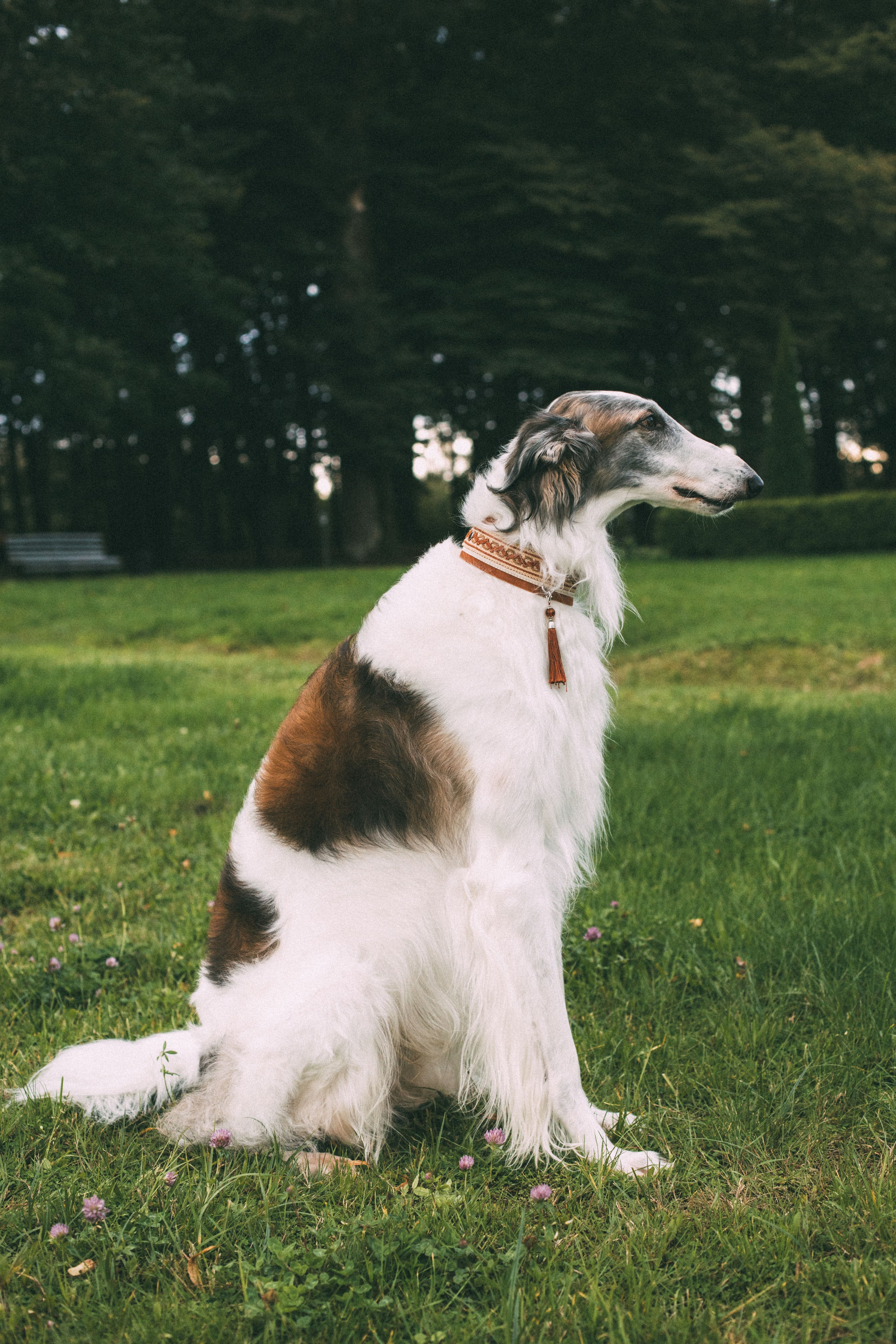 Аристократия. Нияз Саляхов фотограф Казань Татарстан