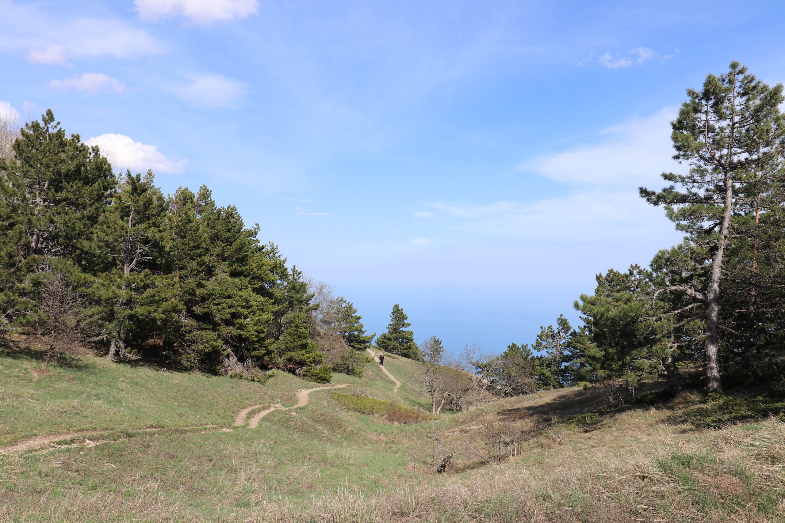 Крым. ЮБК (Бахчисарай, Кастрополь, Таракташская тропа). Май 2021. Путешественник-фотограф из Санкт-Петербурга Татьяна Свистулина