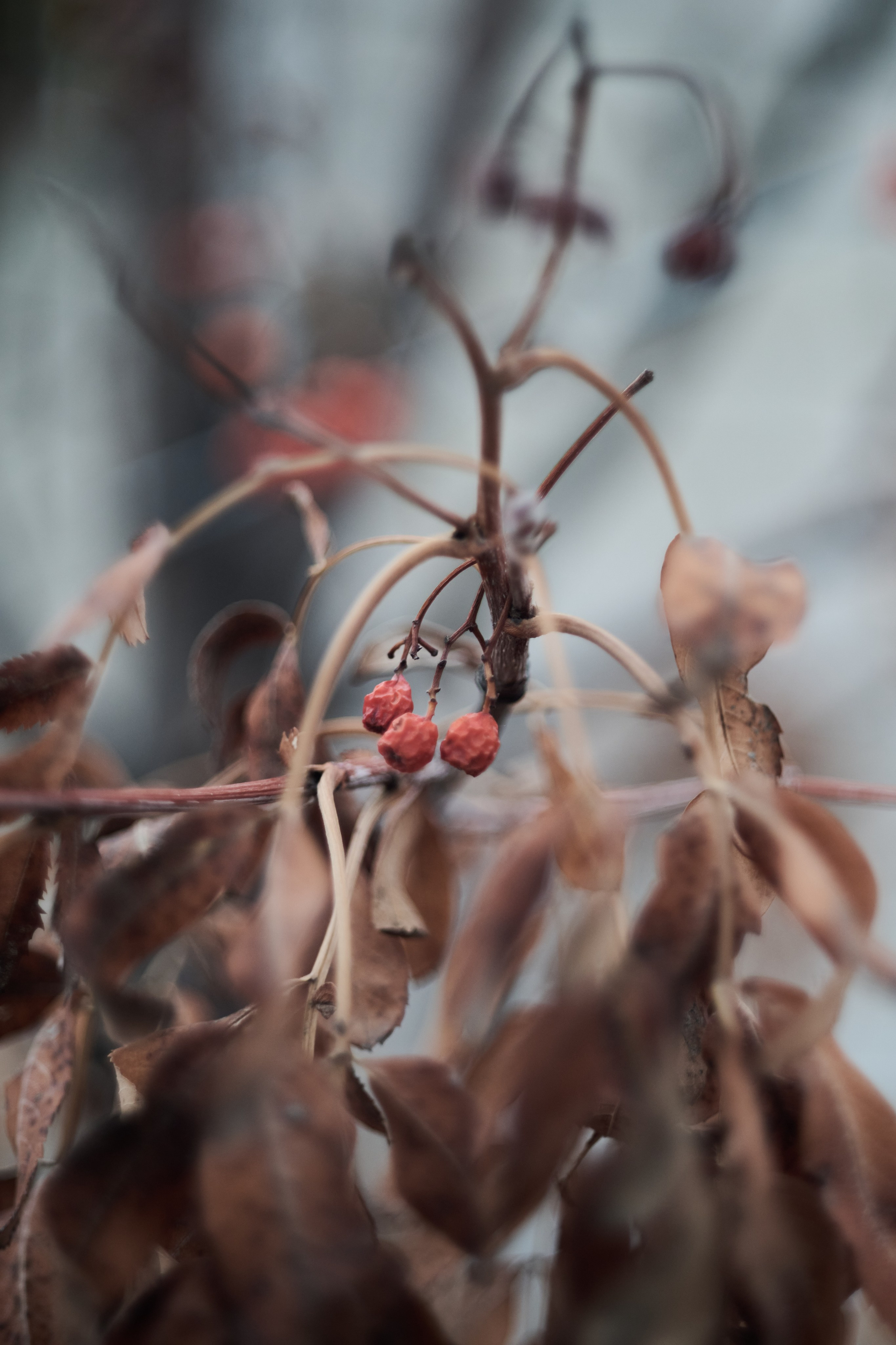 Лисичанск. Луганская область. Фотопроект «Территории»