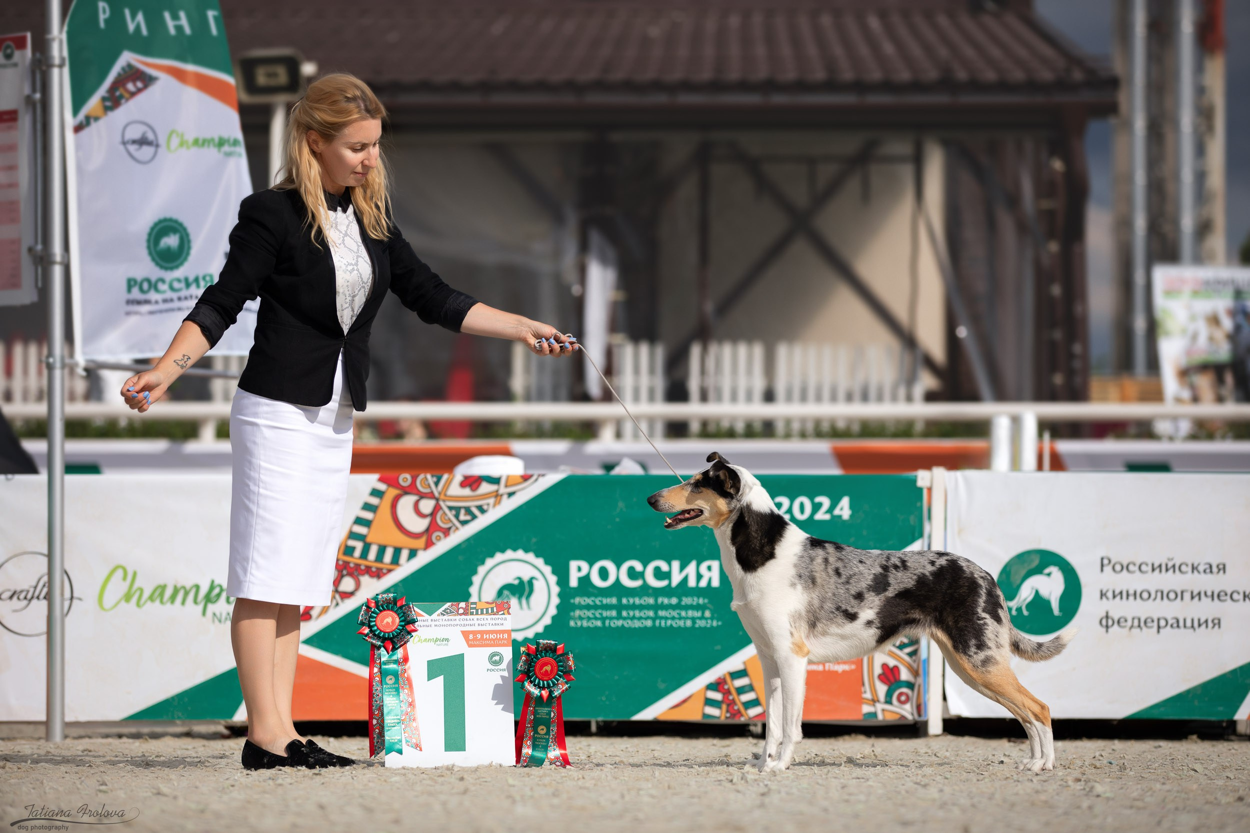 Репортаж с выставки Россия. Фотограф-анималист в Москве и Московской области Татьяна Фролова