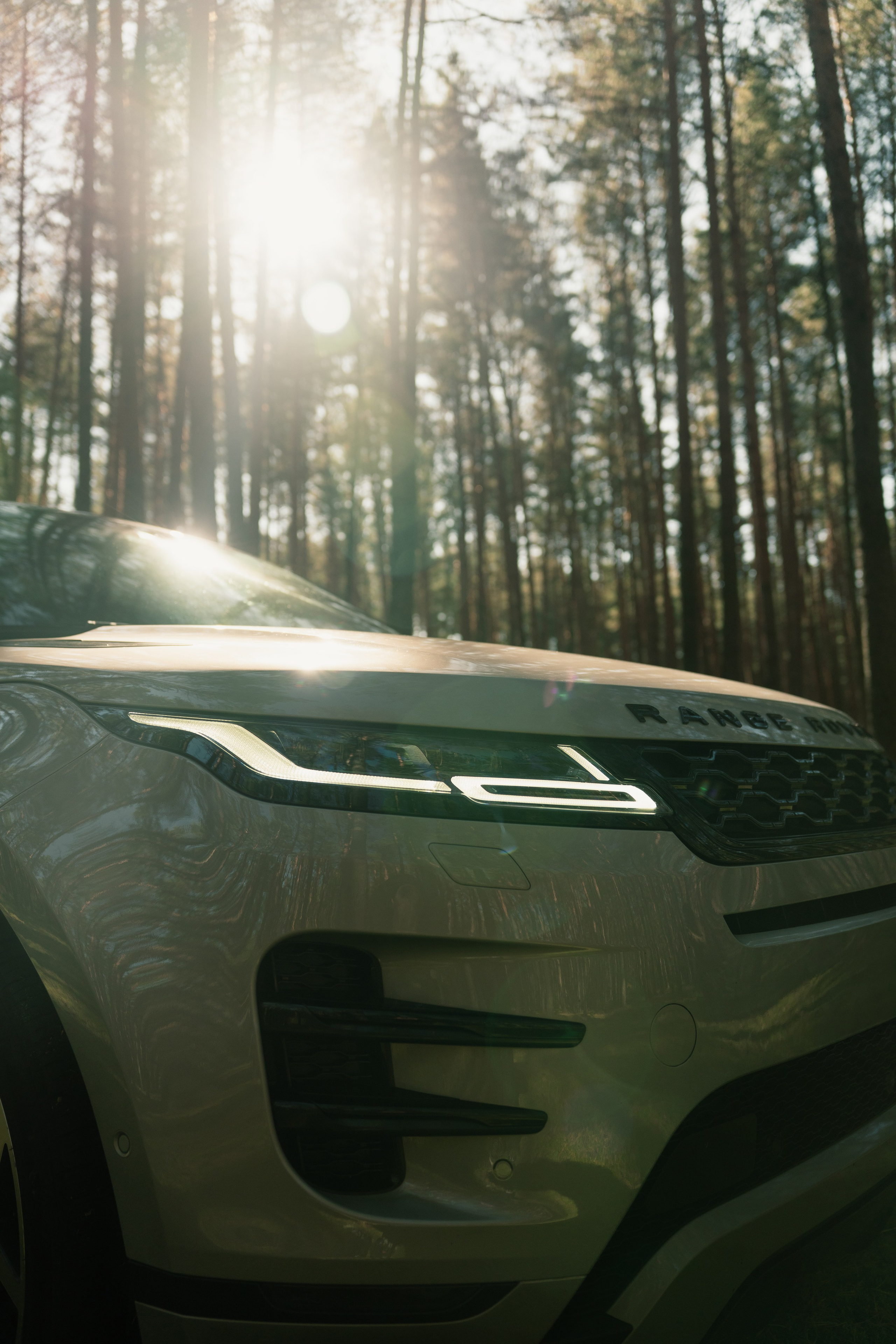 Фотографии Land Rover Range Rover Evoque