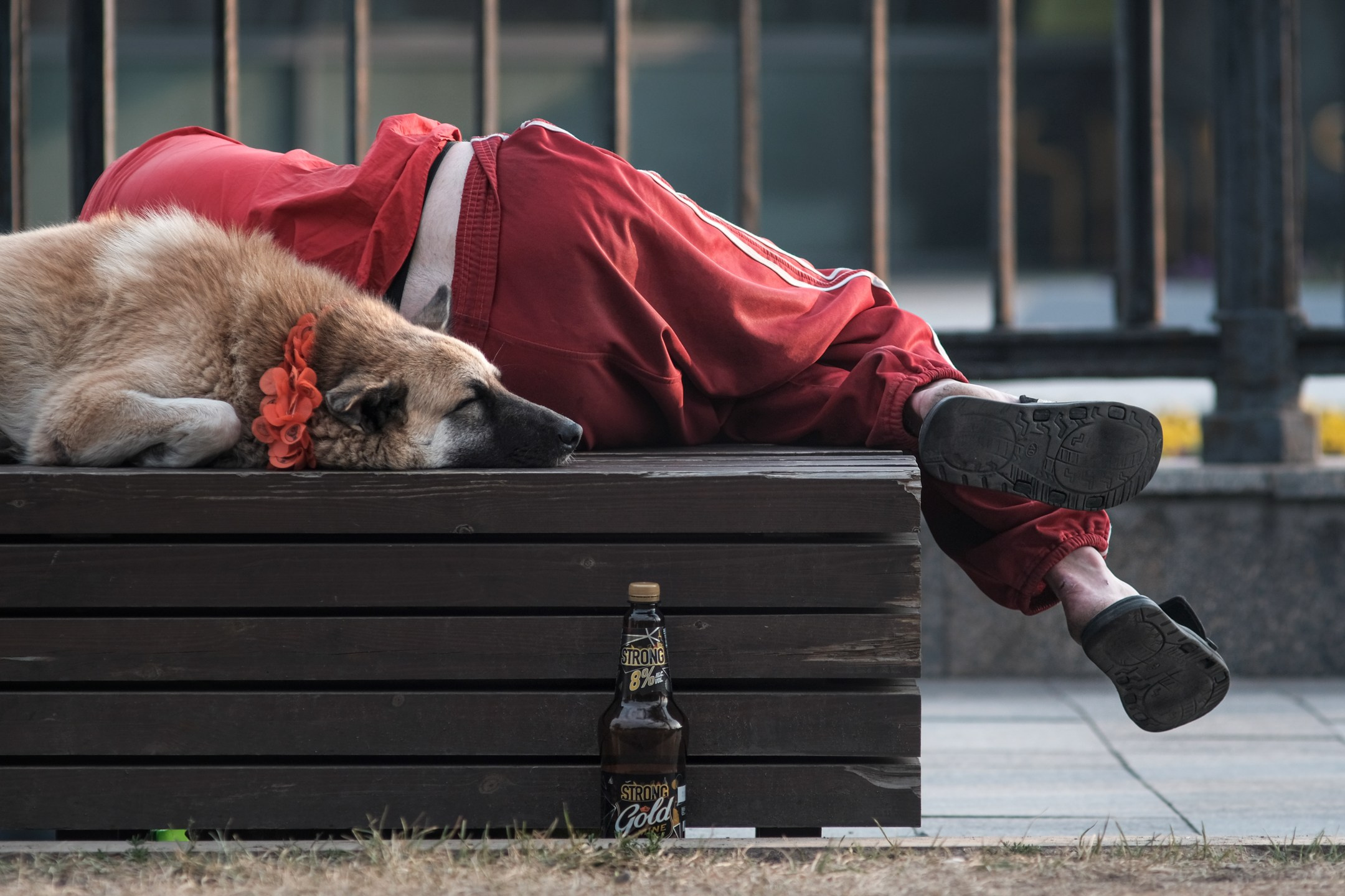 Стрит портфолио. Репортажный фотограф в Москве Андрей Федоров