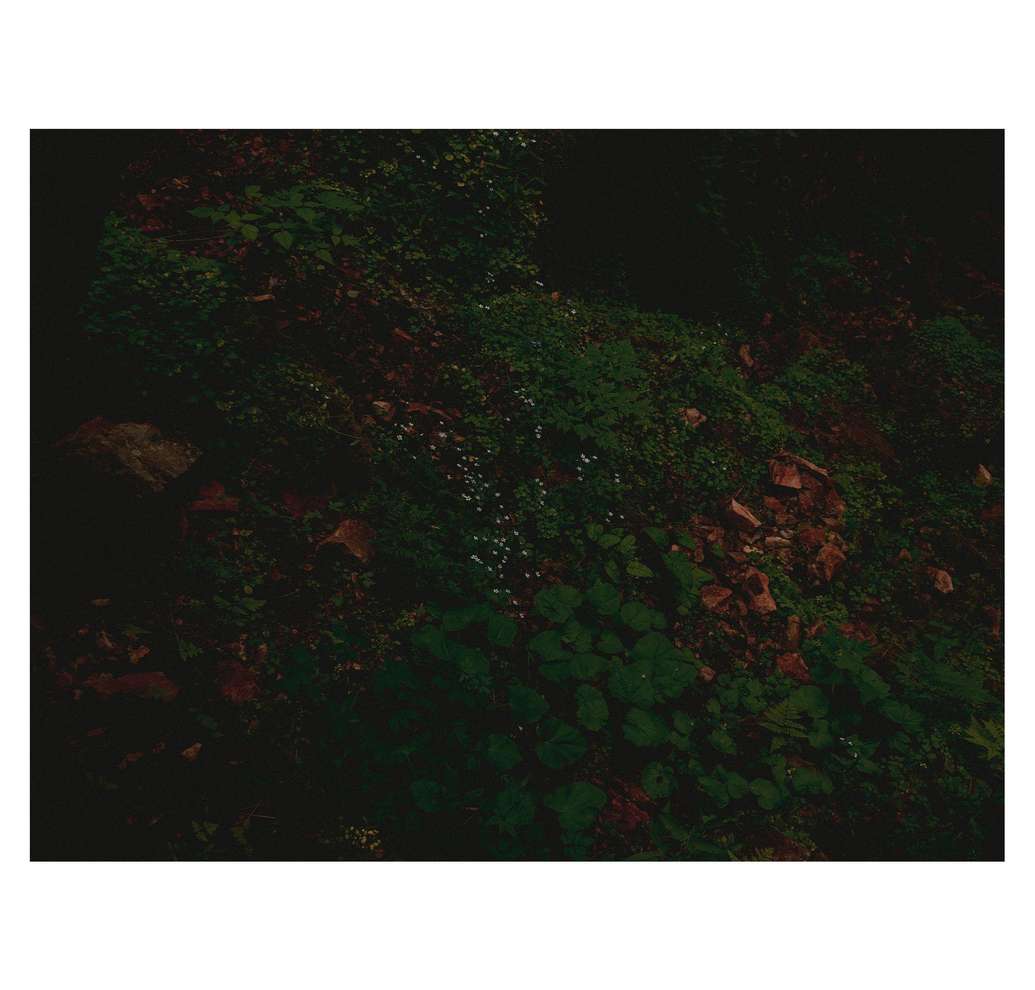 Summer hike. Фотограф/дизайнер в Екатеринбурге Хитрый Дмитрий