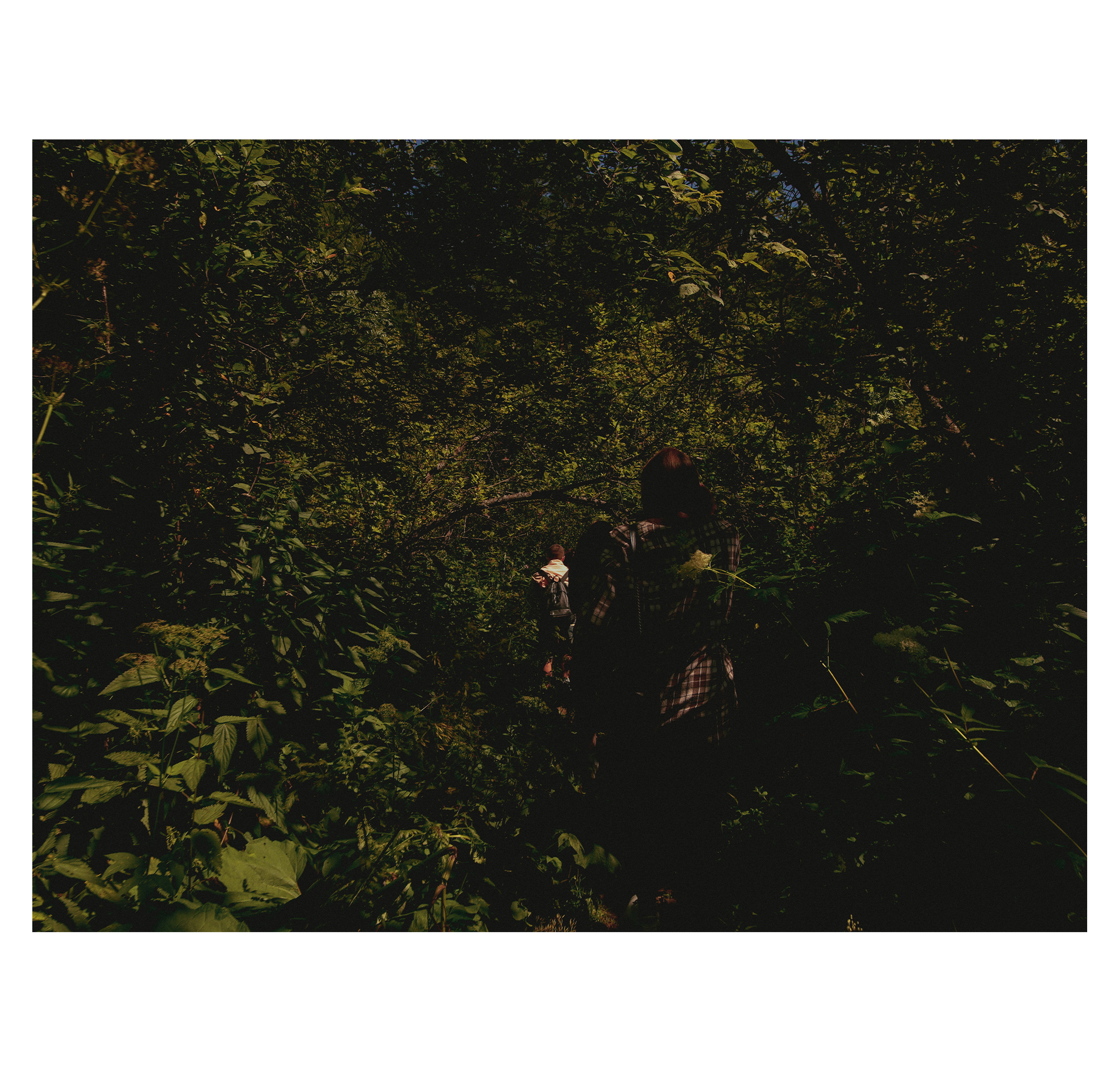 Summer hike. Фотограф/дизайнер в Екатеринбурге Хитрый Дмитрий