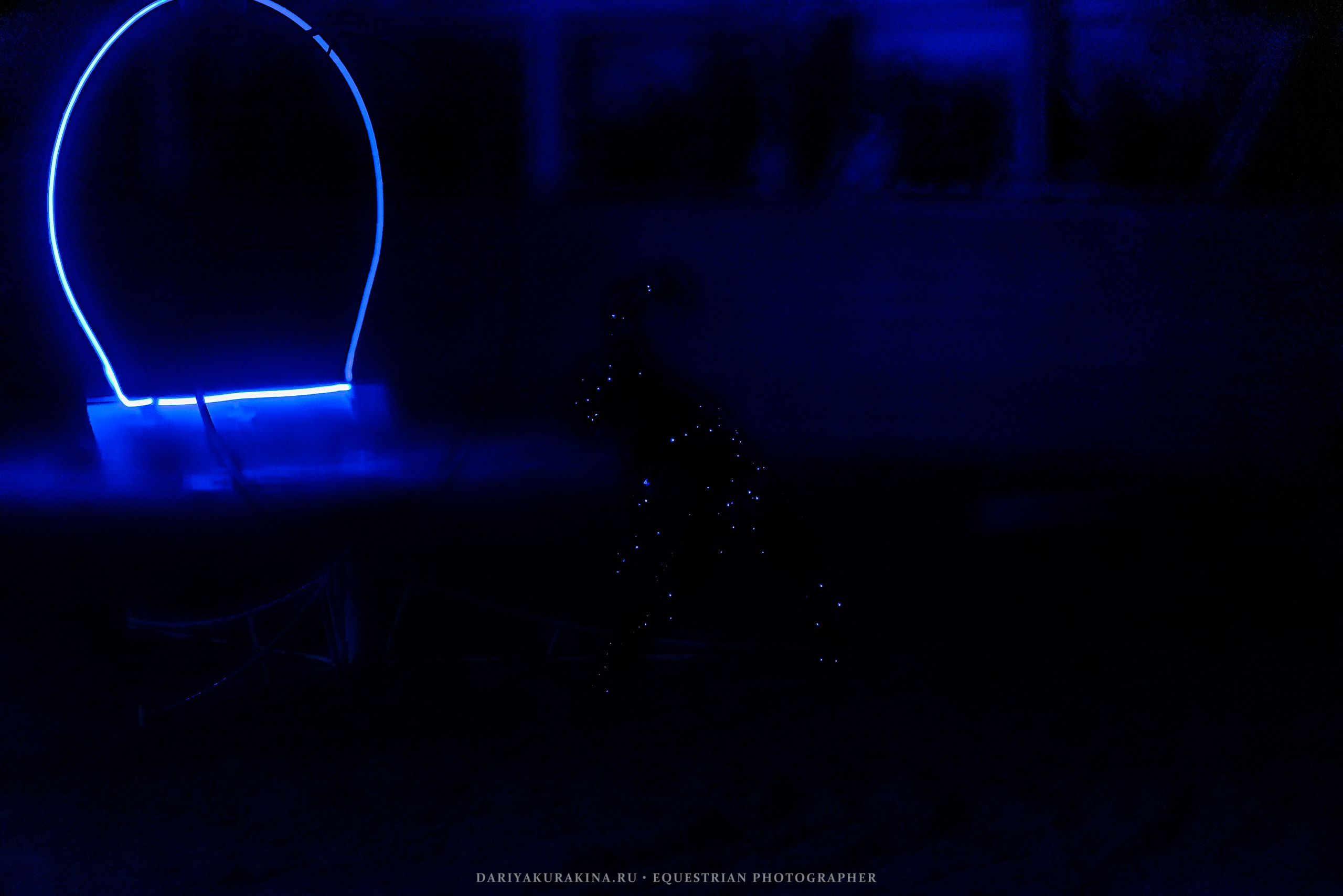 Конное представление «Дыхание Звёзд». Конный фотограф Куракина Дарья • Фотосессии с лошадьми