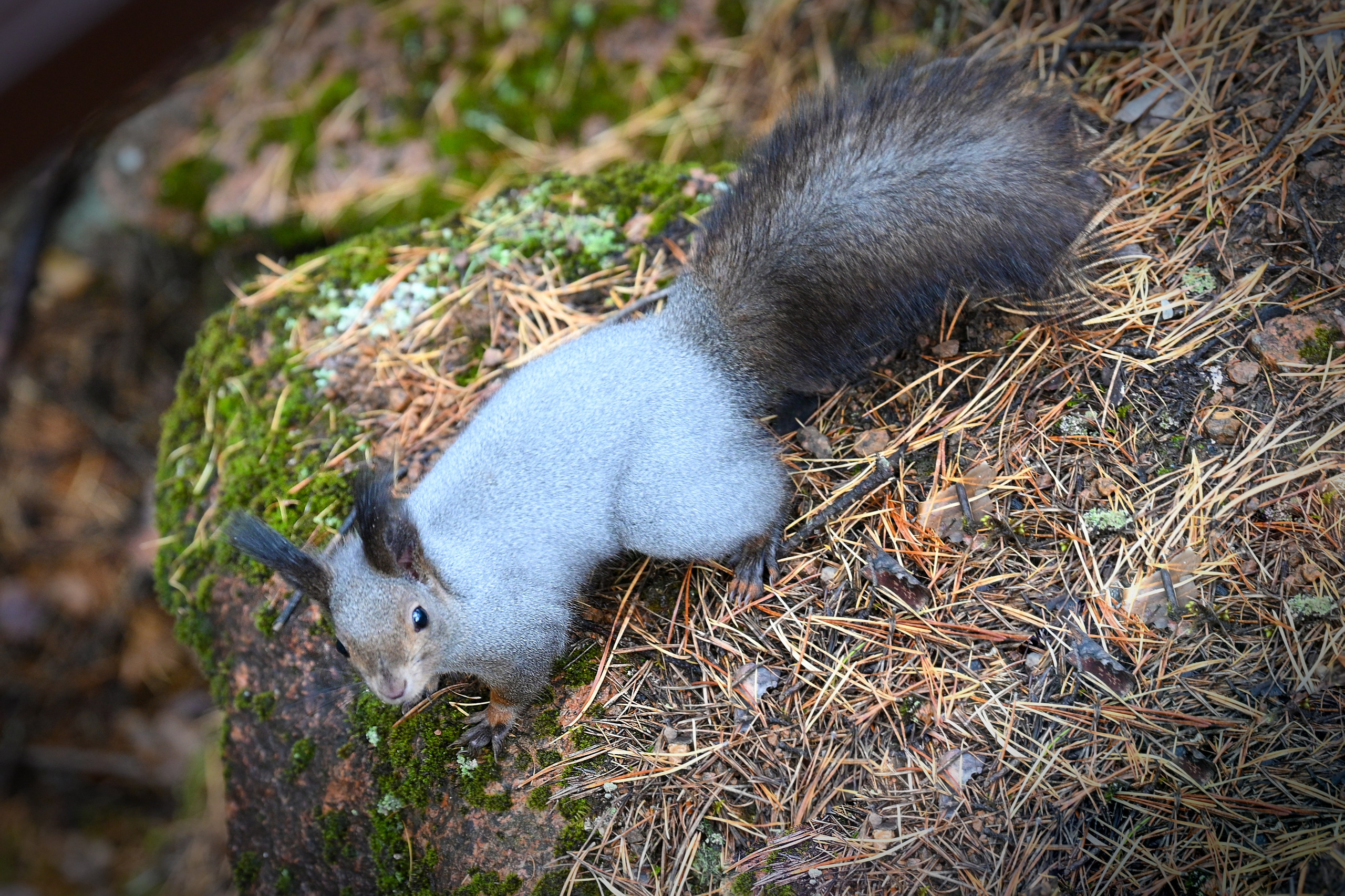 Осень. FotoGraf