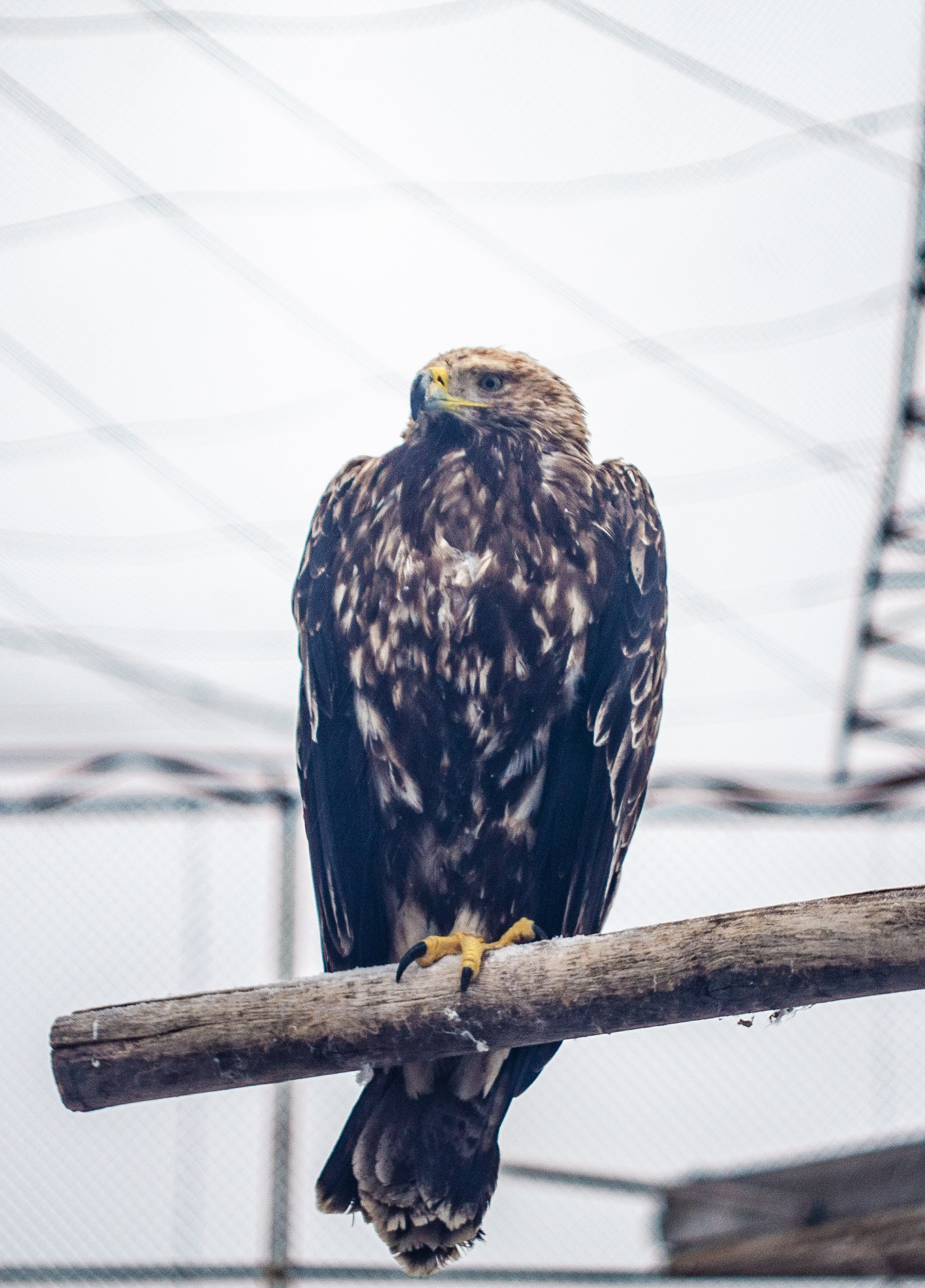 Вокруг нас. Фото — видео Тюмень