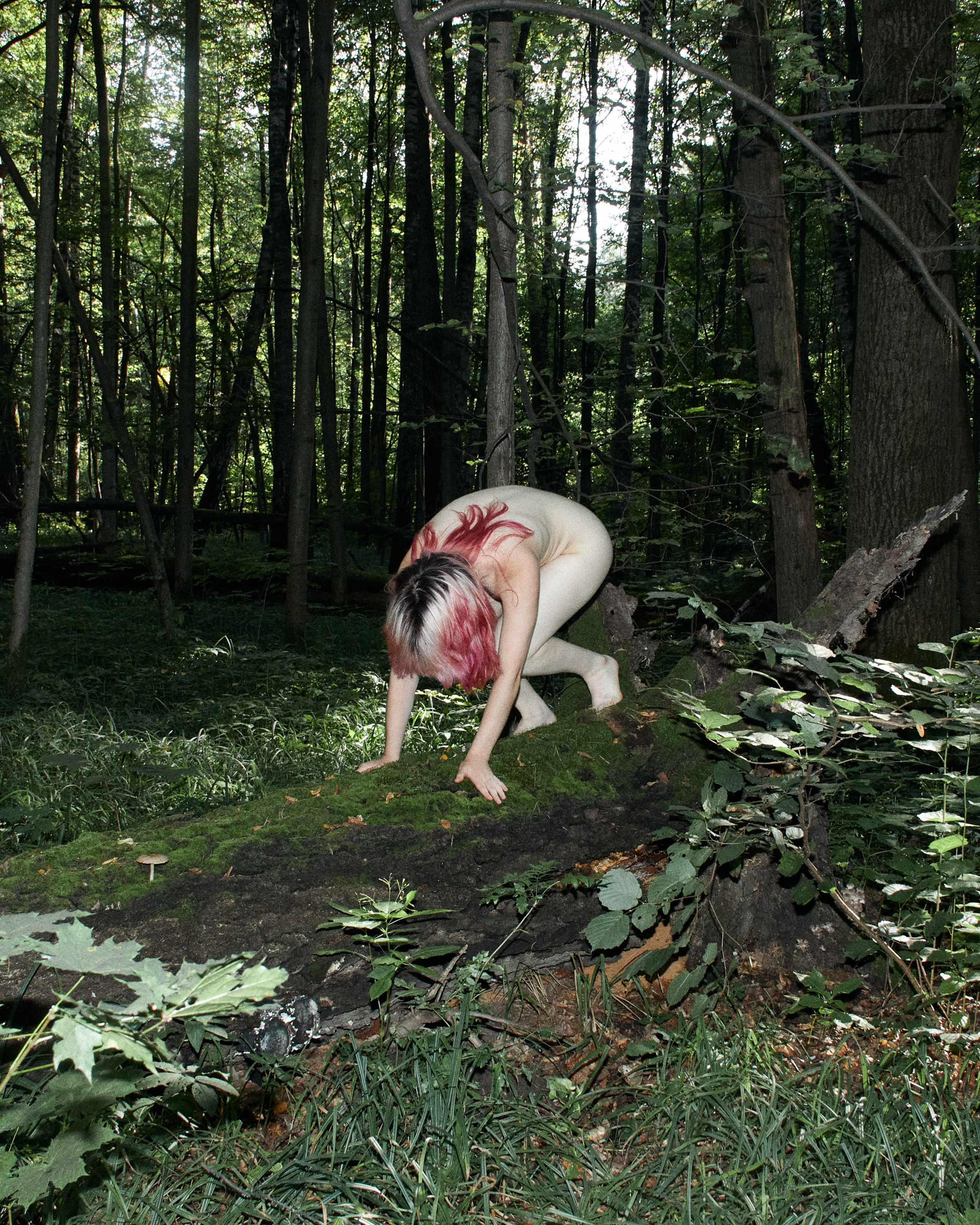 ALENA. Andrew Valmus