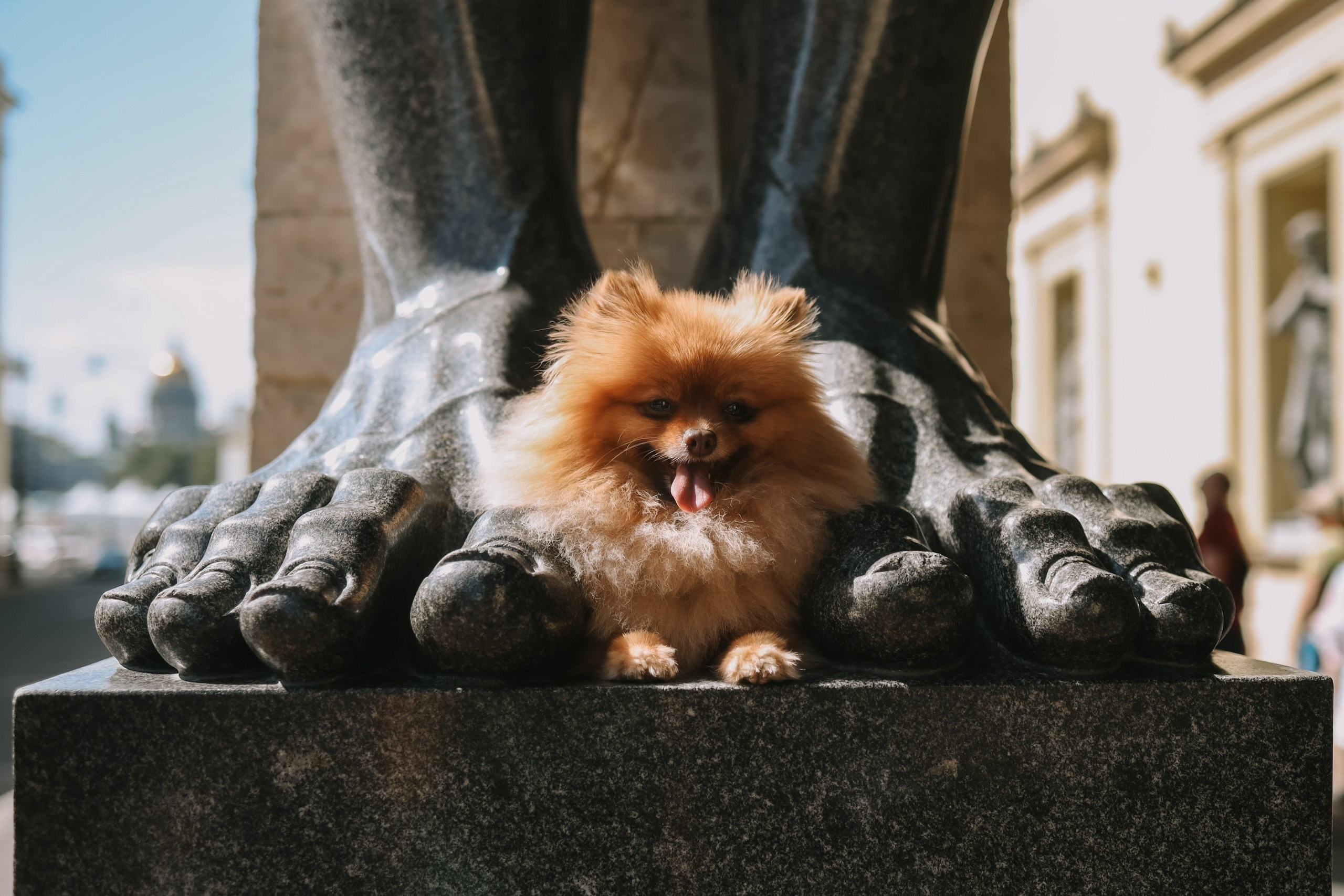 Фотопрогулки по Санкт-Петербургу. Фотограф Юля Постнова