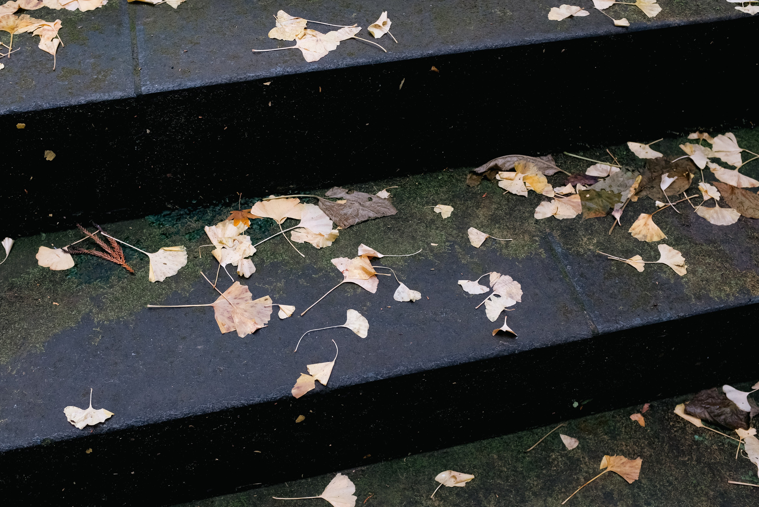 Kamakura. Regina Platonova