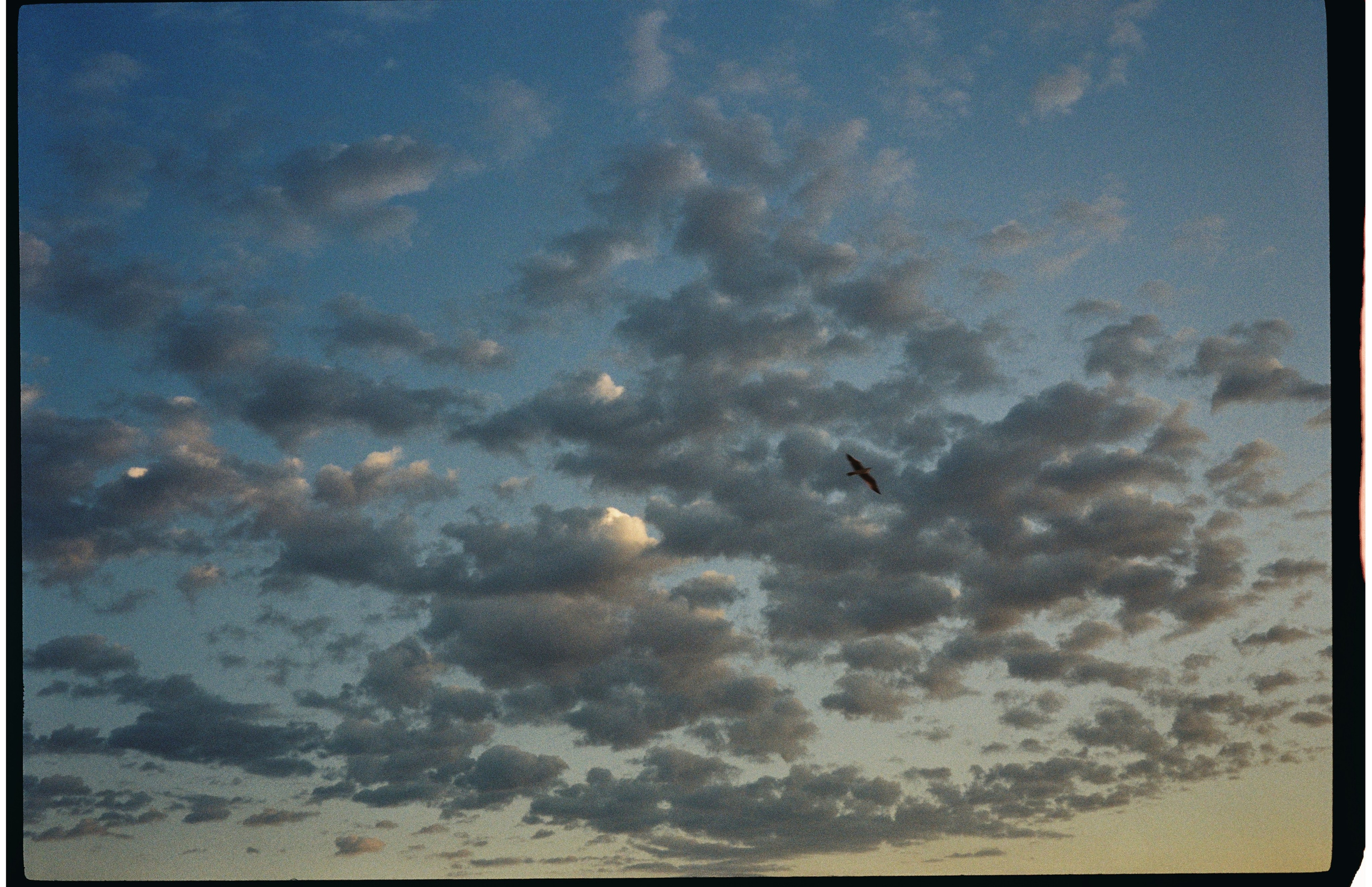 France. Regina Platonova