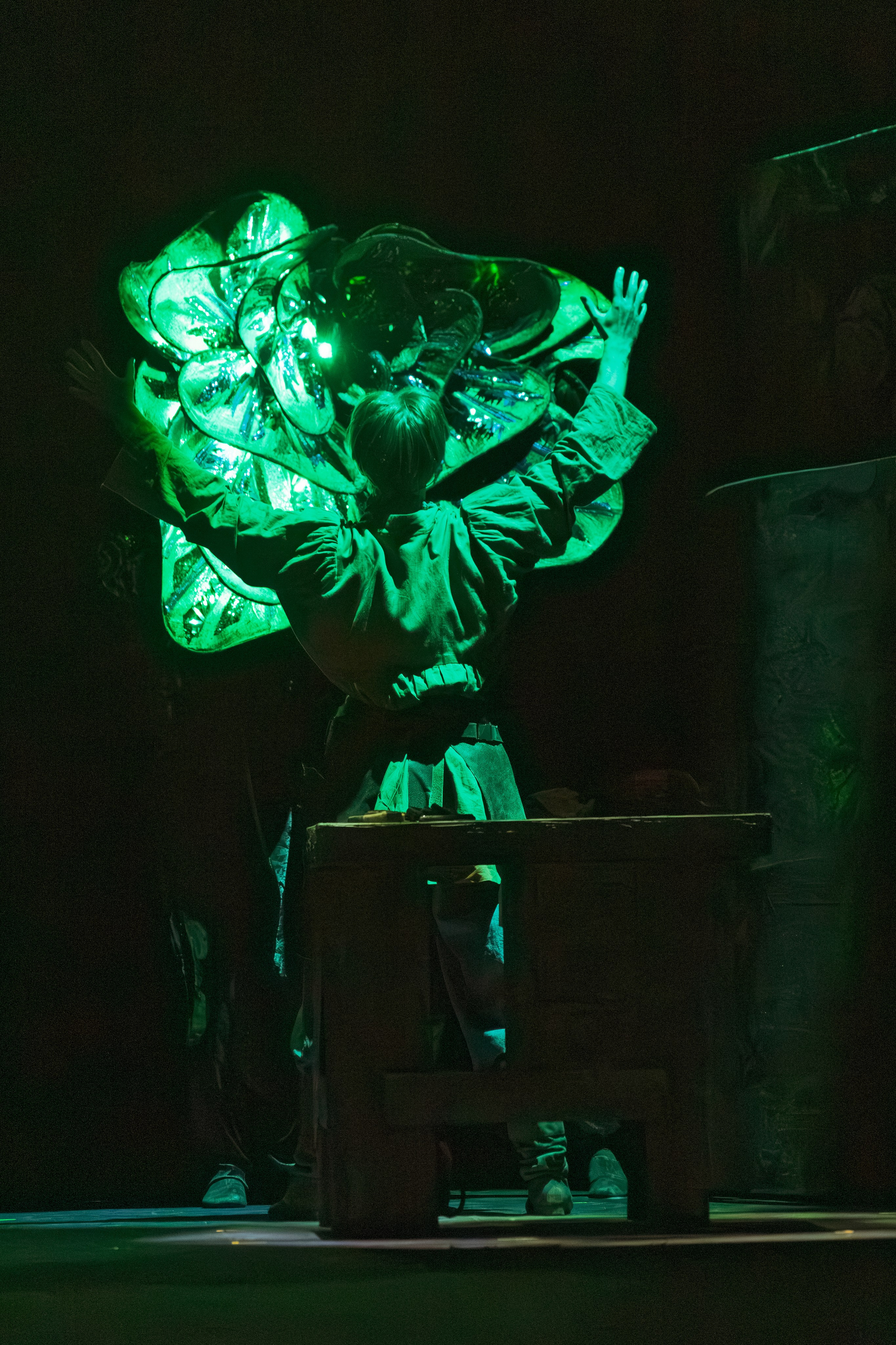 Театр Терезы Дуровой: Малахитовая Шкатулка. Сайт фотографа Сергея Абрамова