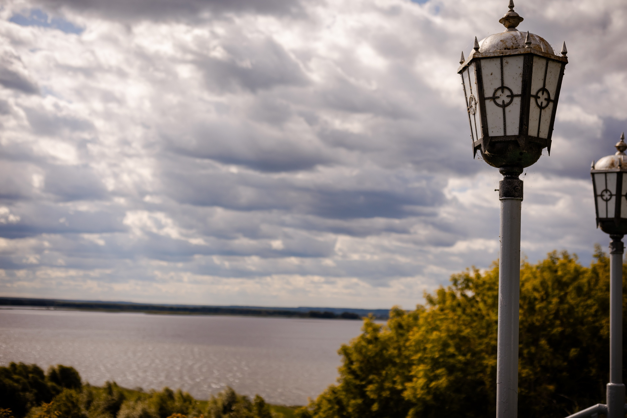 Фотосъемка собак, щенков, на выставках, фотограф анималист Россия воронеж. Питомник собак Акита, Хаски, Корги