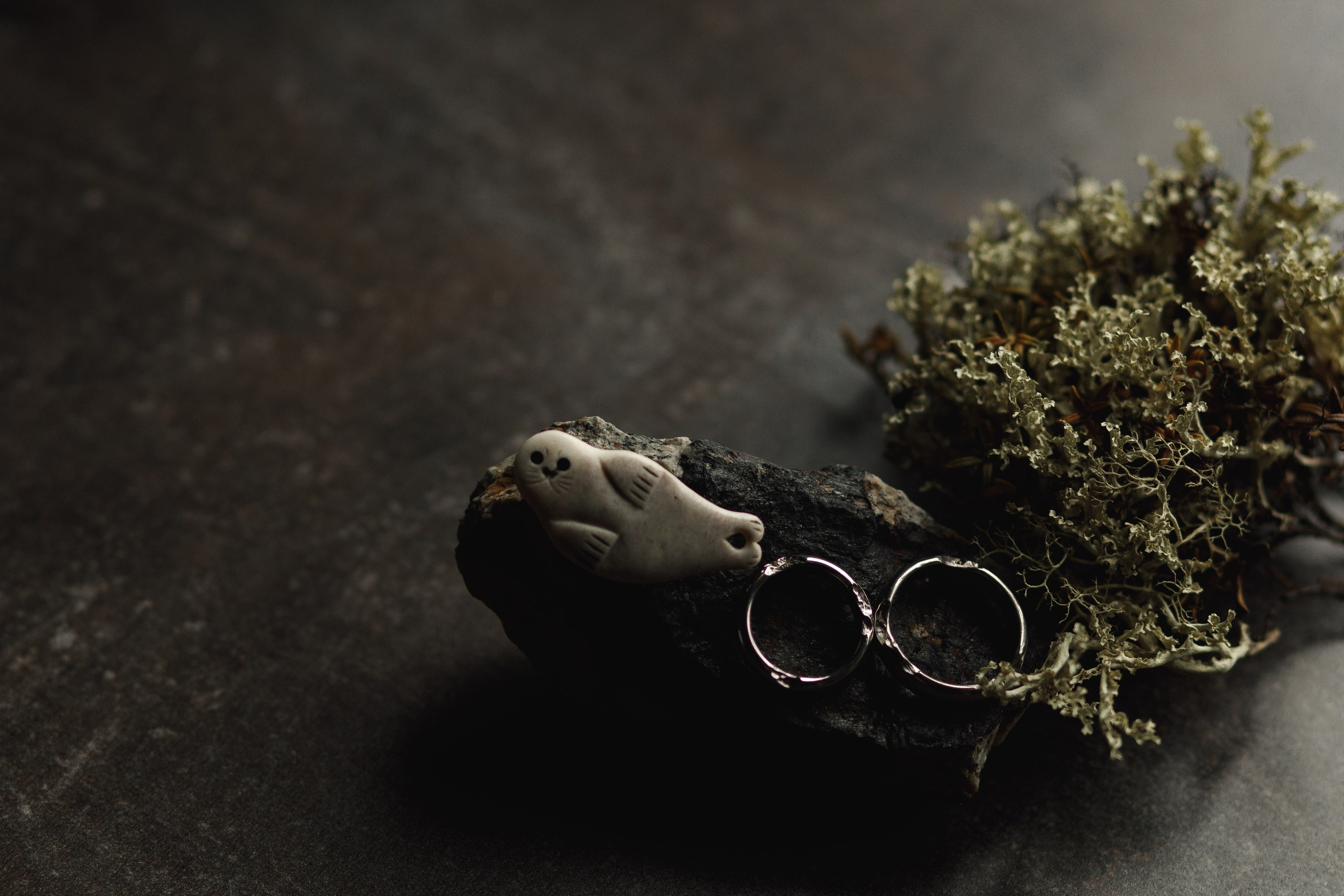 На севере — любить!. Wedding photographer in St. Petersburg, Europe and Israel Anna Agafon