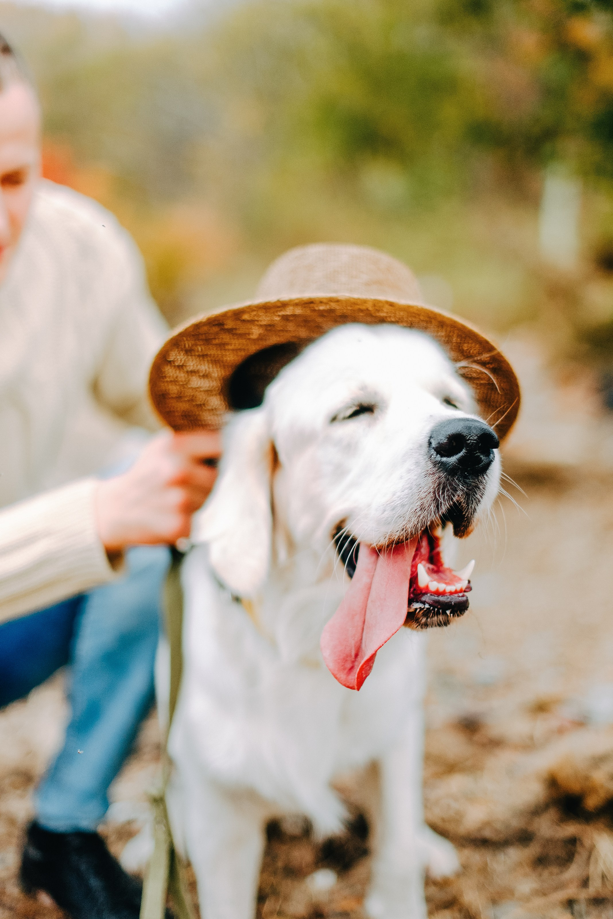 КСЮША + ГЛЕБ. Шашкова Вероника / Свадебный и семейный фотограф Москва и Ярославль