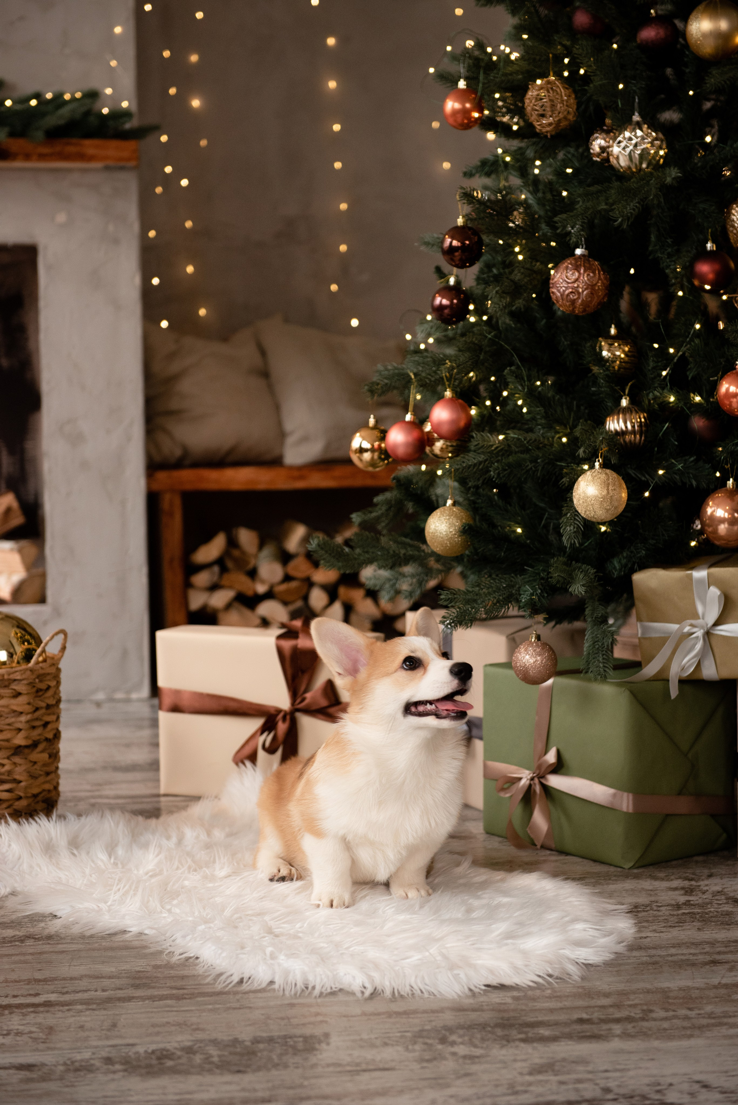 Новогодние. Свадебный и семейный Фотограф в Твери Сергей Скорода