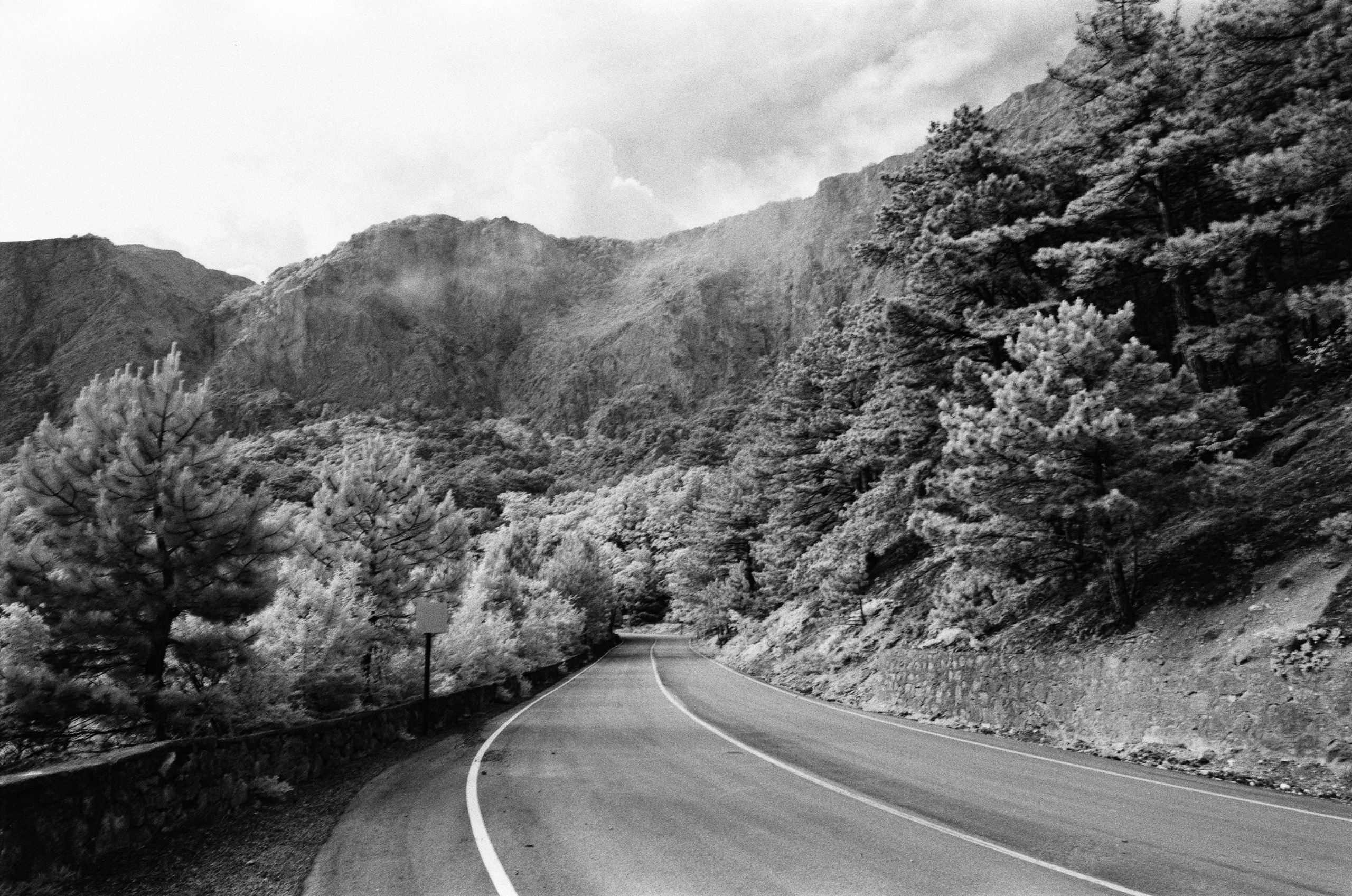 Point of no reply // ukraine, crimea V. EVER EXPOSED