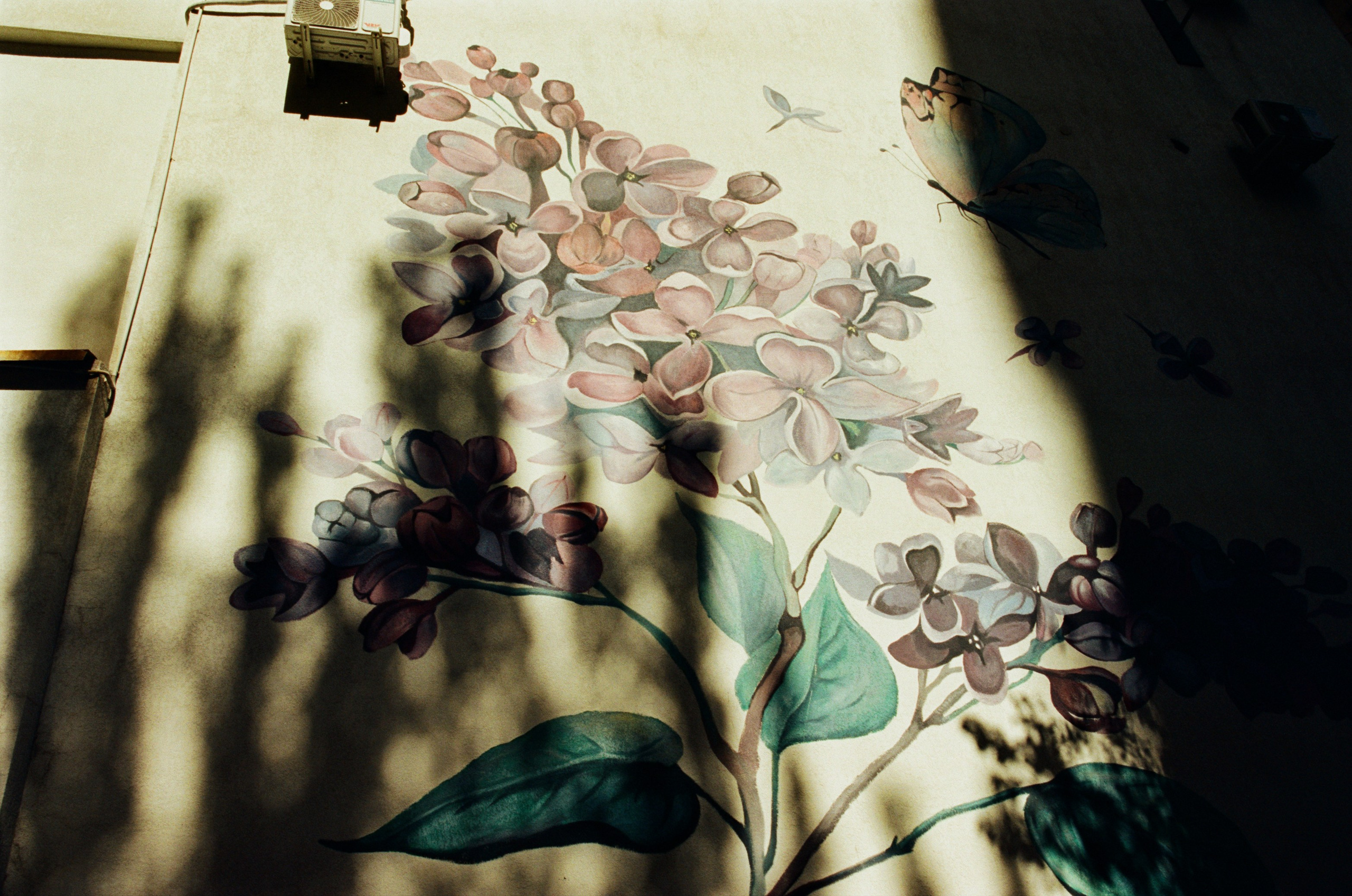 Darkest lullaby // armenia, yerevan III. EVER EXPOSED