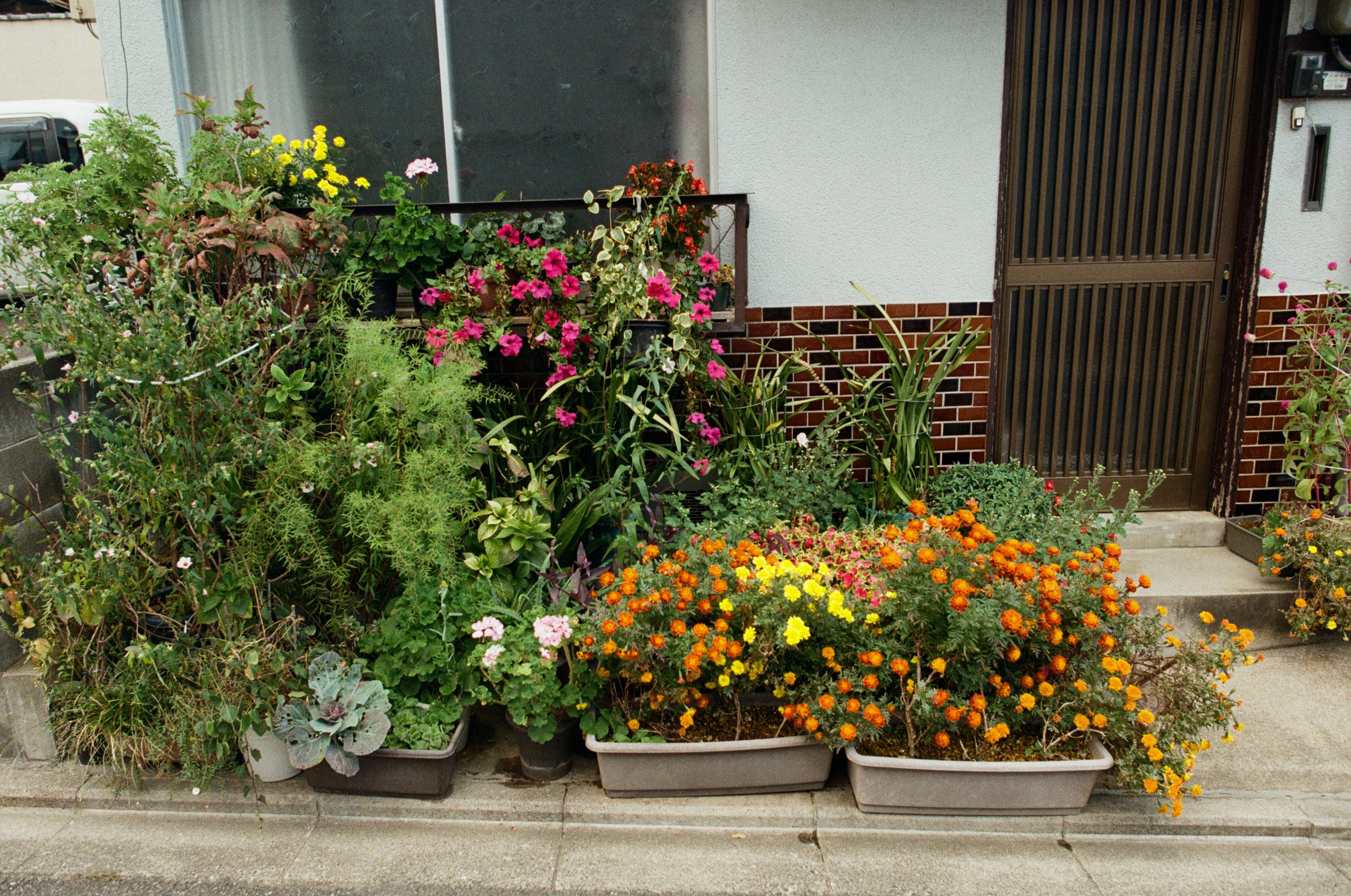 Out of noise // japan, kyoto III. EVER EXPOSED