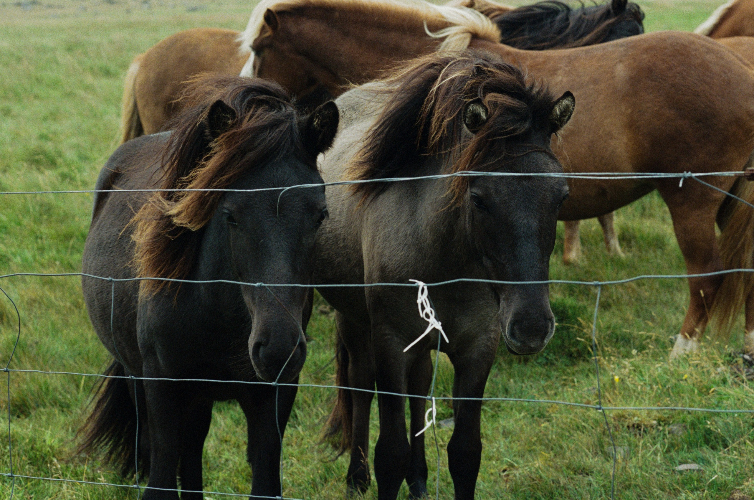 I of the storm // iceland, stokksnes. EVER EXPOSED