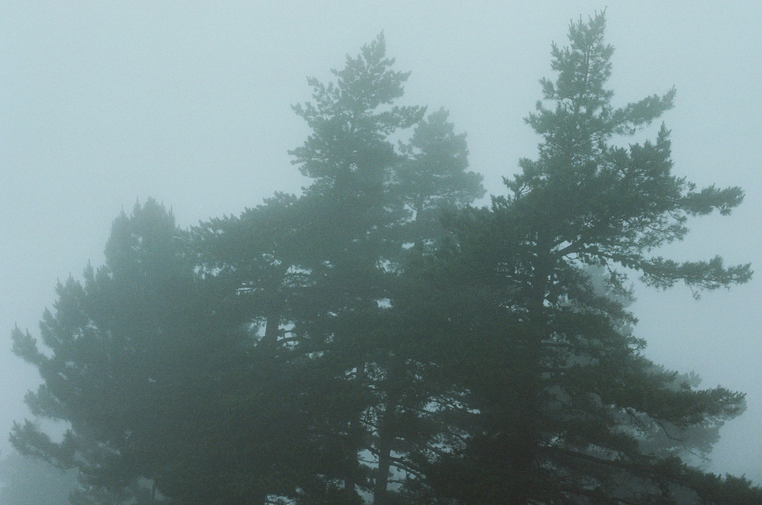 Dig it // ukraine, crimea. EVER EXPOSED