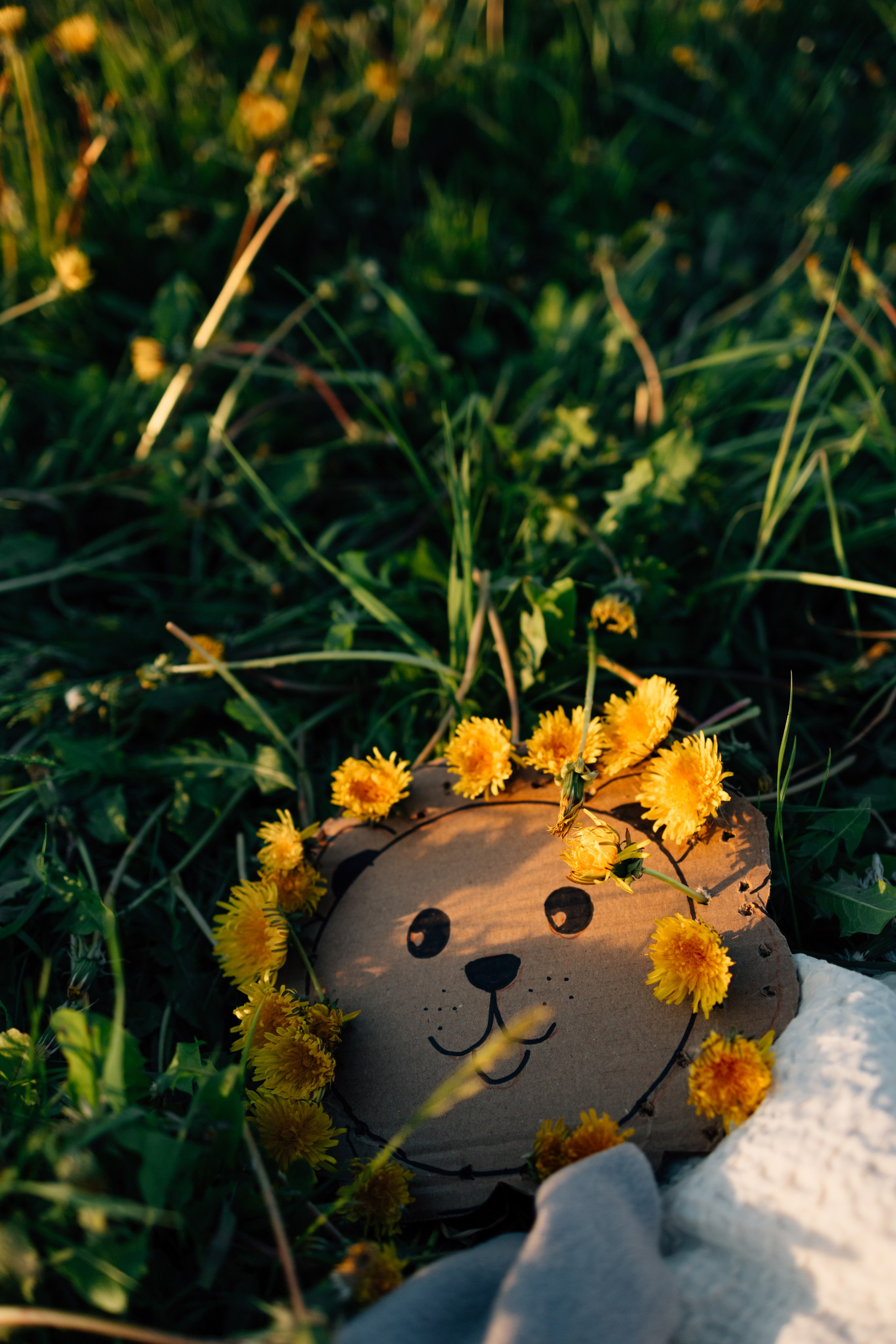 Солнечные львята. Фотограф Москва Светлана Кирюшина