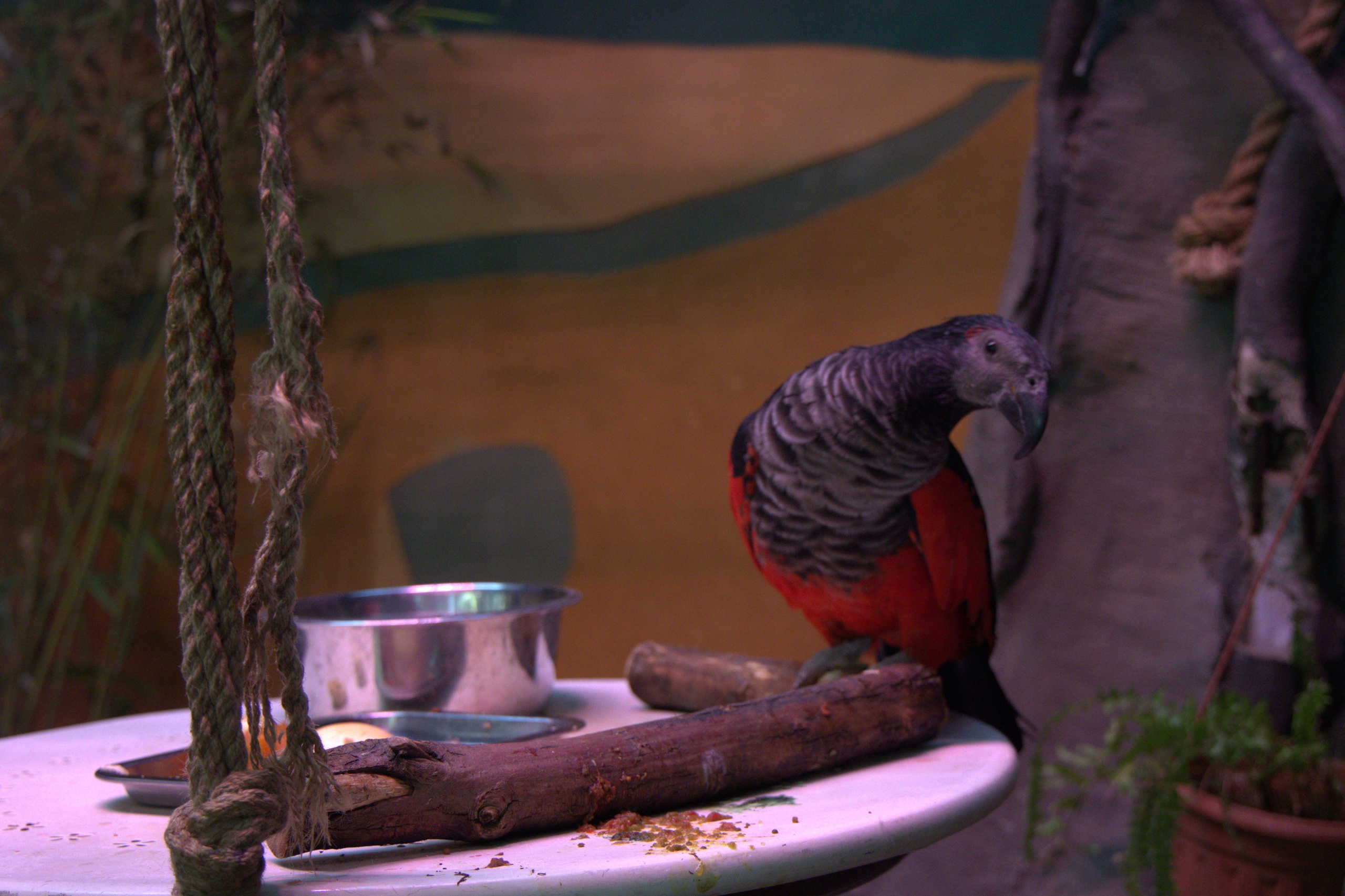 ЗООПАРК. ФОТОГРАФ В МОСКВЕ СТАНИСЛАВ КОБЗЕВ