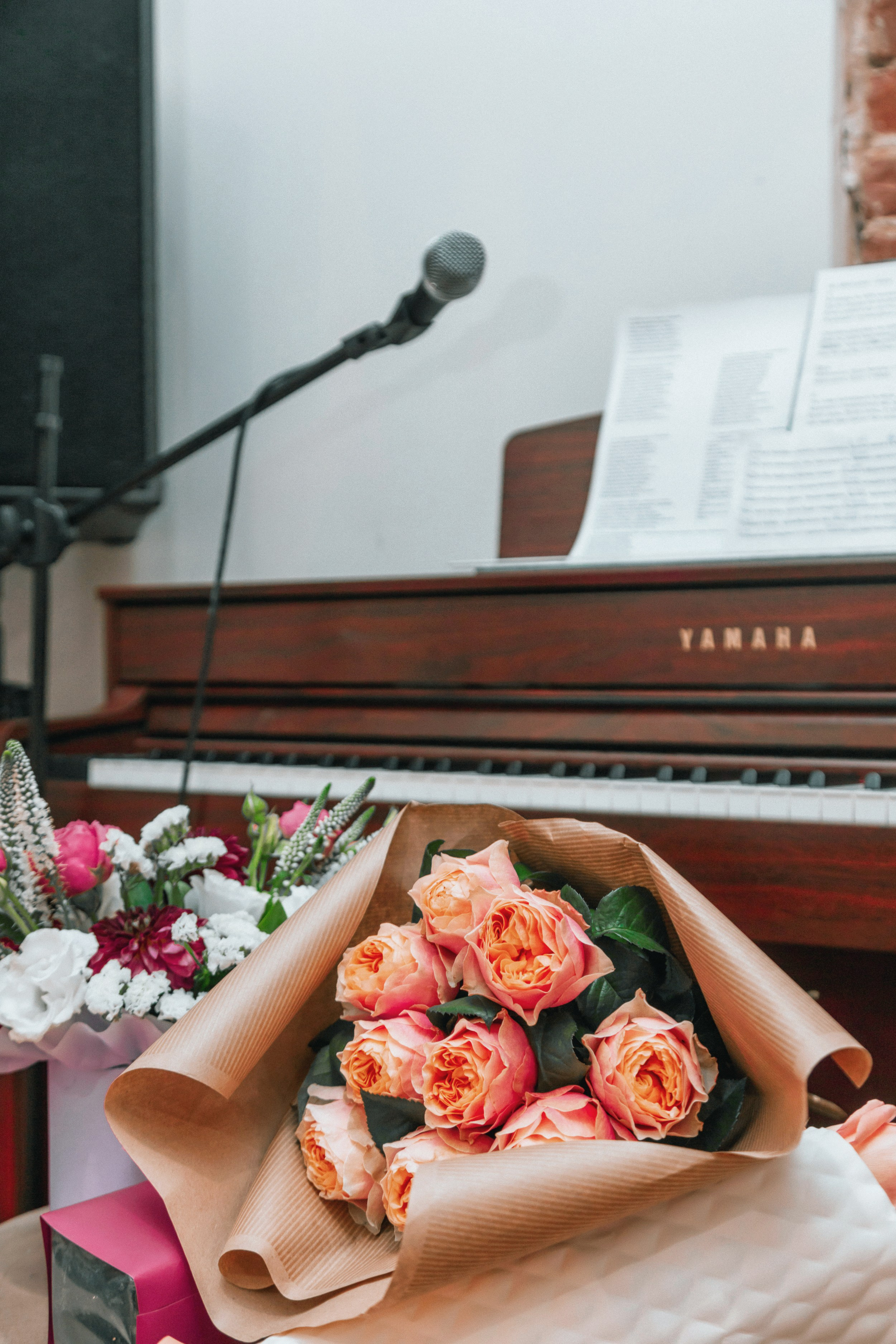 Поэтический вечер в Краснодаре. Создание сайтов, SMM, производство контента | Студия «Медведь» | Услуги для бизнеса