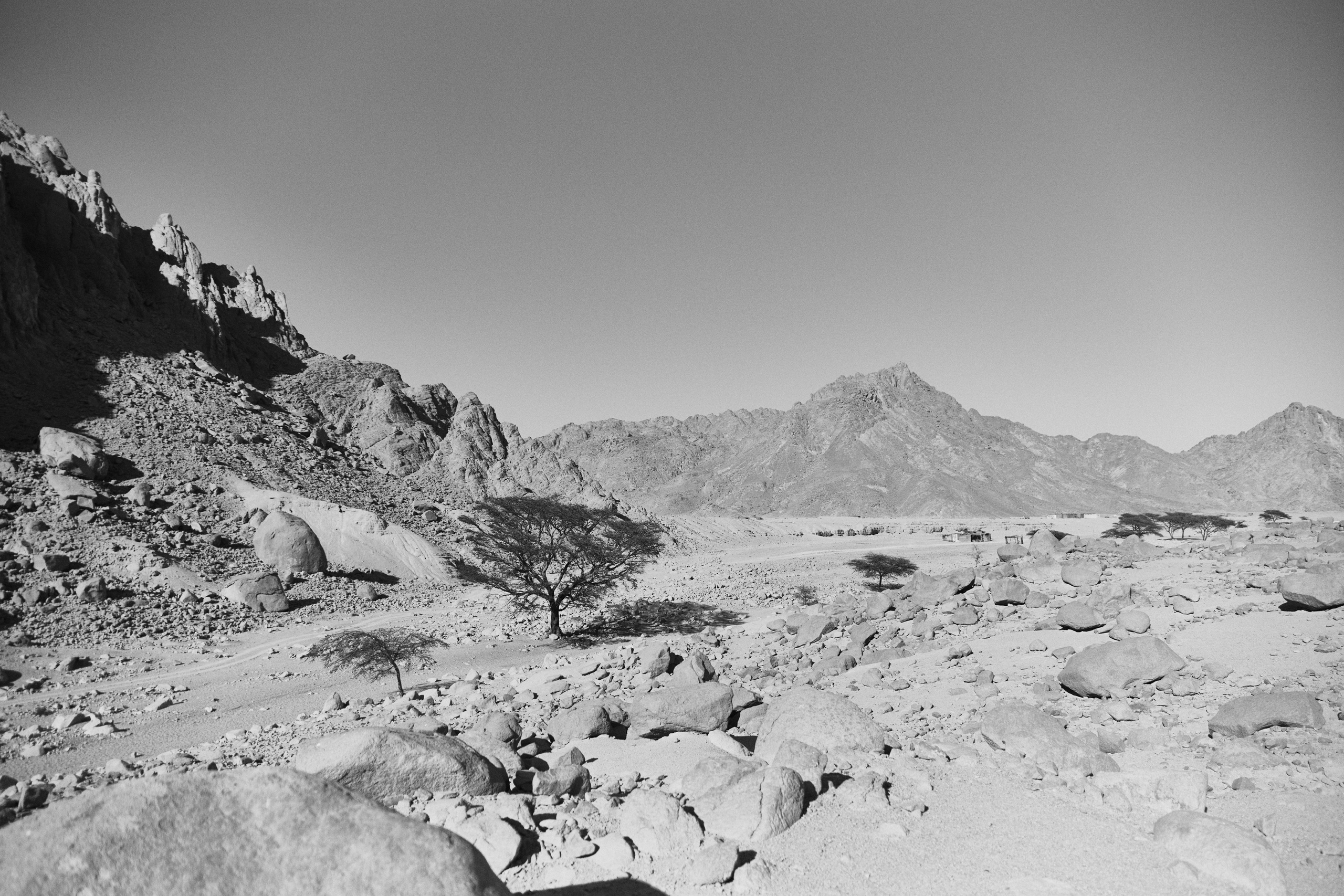 B&W. Jorgis — фотограф в Хургаде / обучение фотографии