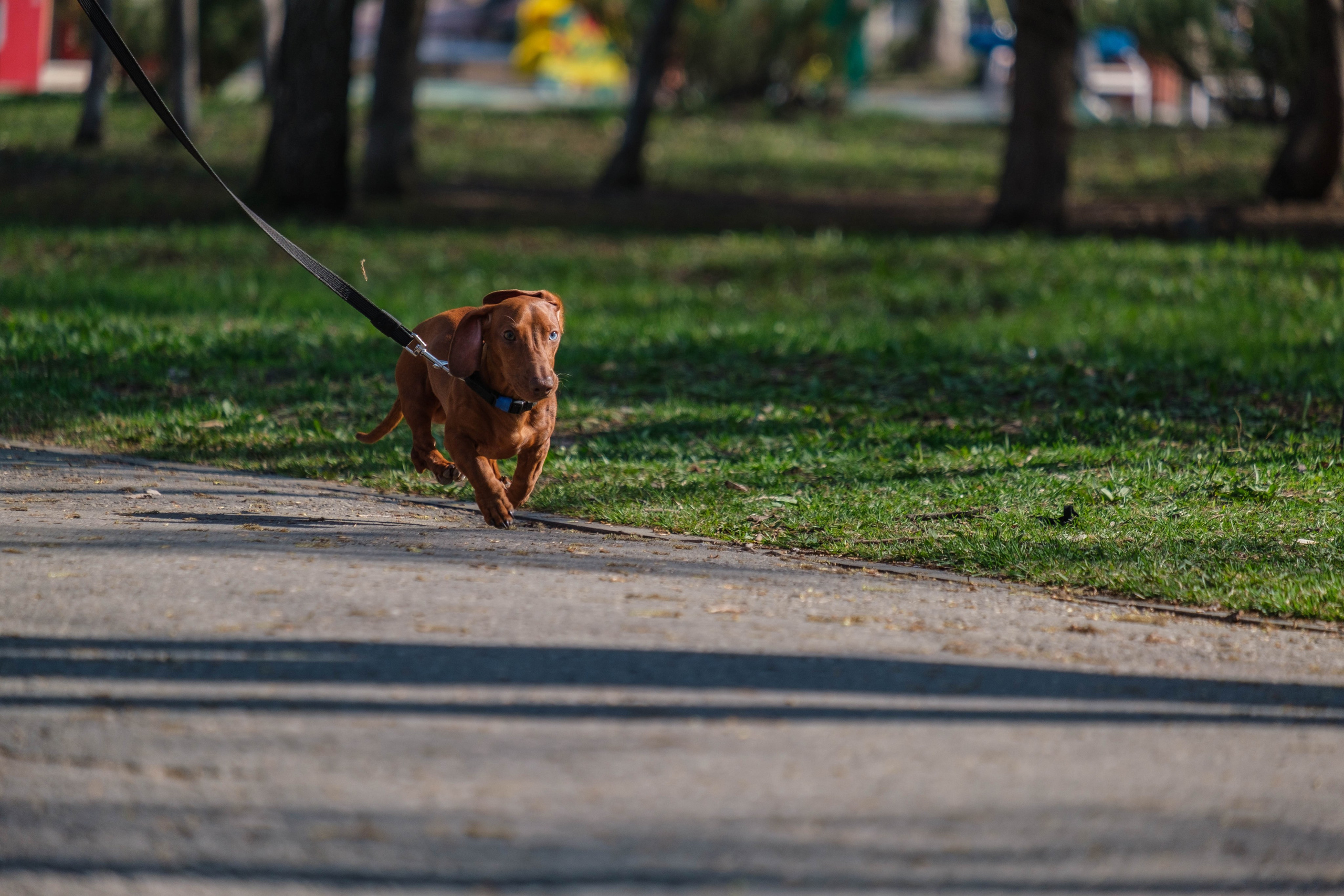 5 вёрст. Фотограф Диана Иремадзе